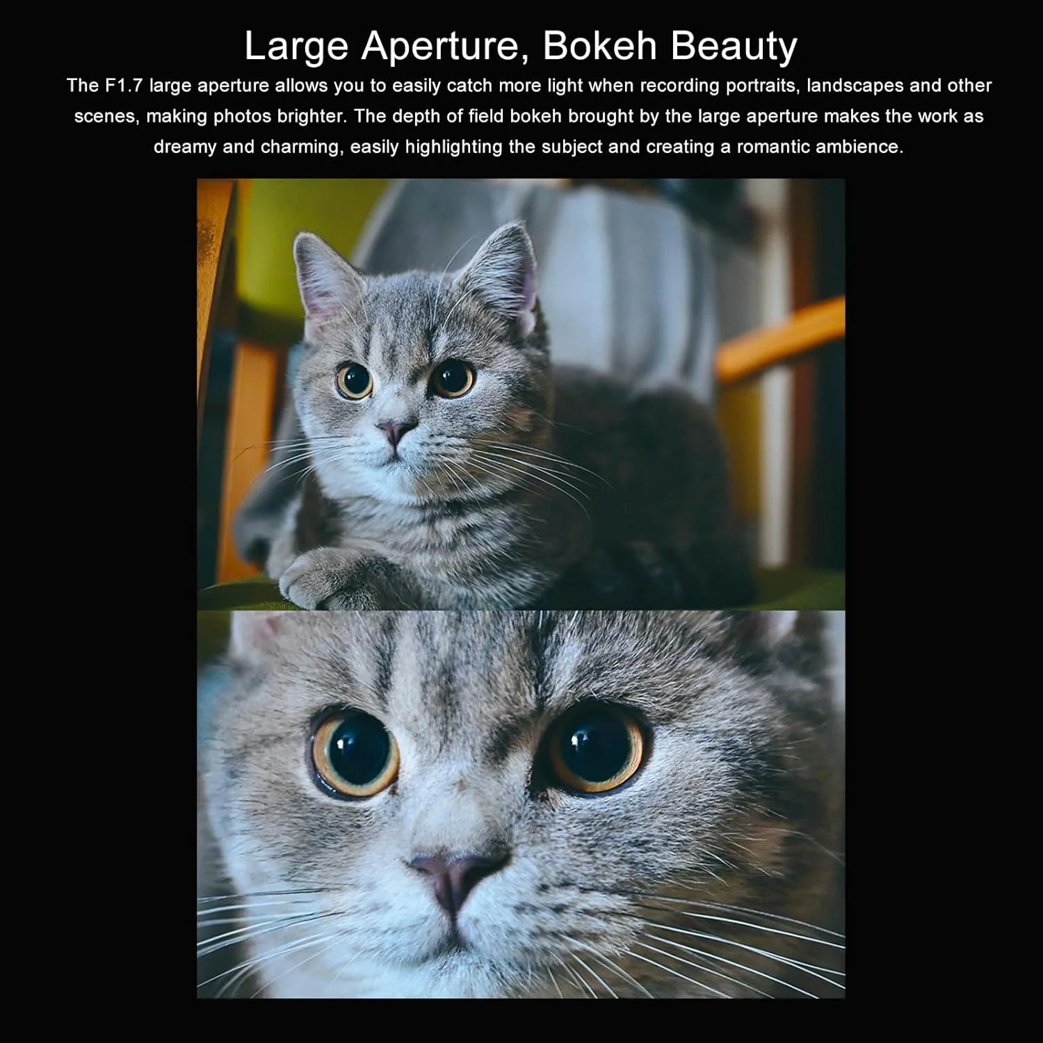 لنز فوکوس دستی 25mm F1.7 Annadue برای مانت X، لنز پرایم با دیافراگم باز APS-C، سازگار با مانت FX با X-E1/X-S10/X-T30/X-A5، لنز عکاسی پرتره و خیابانی (مشکی) لنز فوکوس دستی 25mm F1.7 Annadue برای مانت X، لنز پرایم با دیافراگم باز APS-C، سازگار با مانت FX با X-E1/X-S10/X-T30/X-A5، لنز عکاسی پرتره و خیابانی (مشکی)