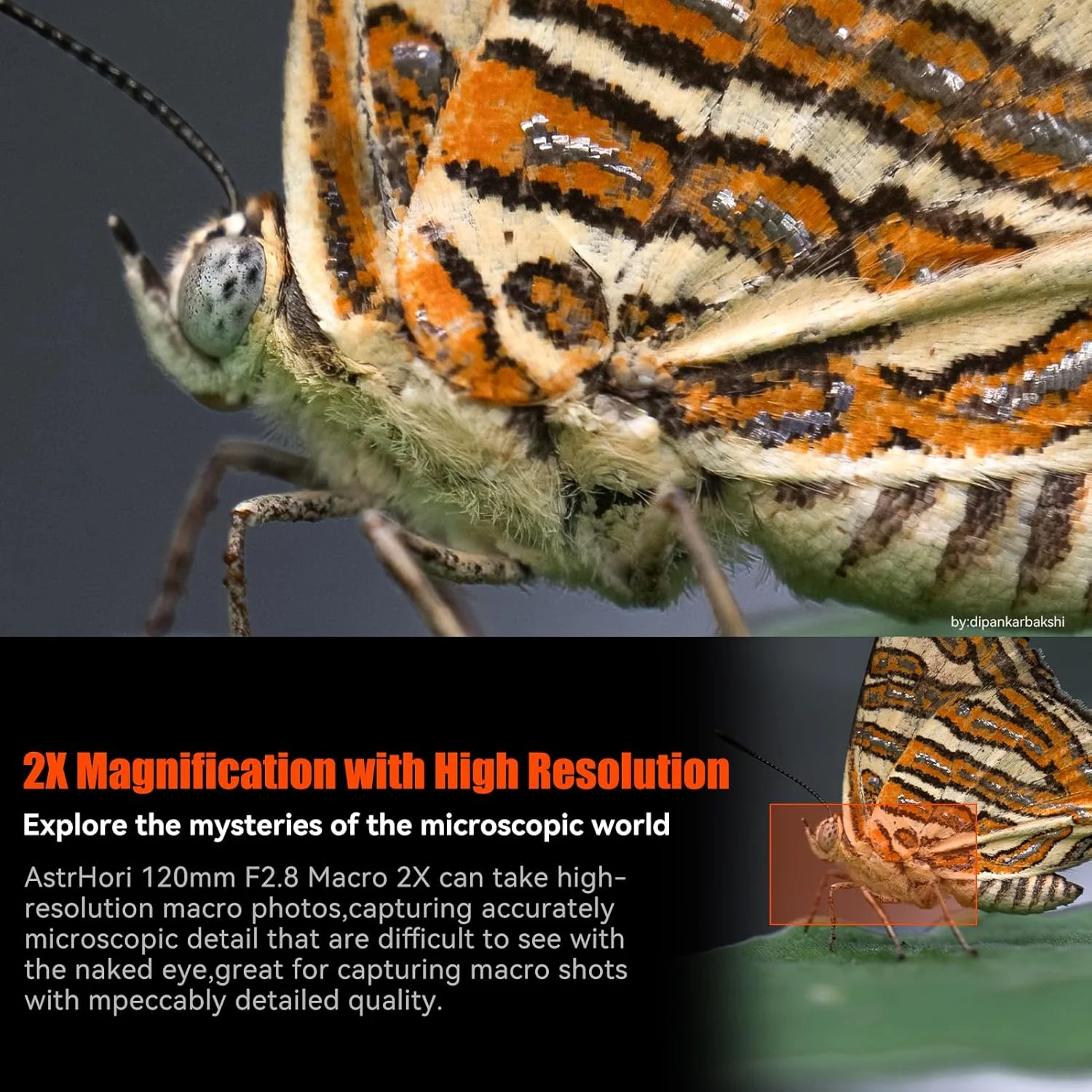 لنز ماکرو 120mm F2.8 2X آسترهوری، فول فریم، دیافراگم باز، لنز تله فوتو متوسط دستی، سازگار با دوربینهای بدون آینه Sony E-Mount لنز ماکرو 120mm F2.8 2X آسترهوری، فول فریم، دیافراگم باز، لنز تله فوتو متوسط دستی، سازگار با دوربینهای بدون آینه Sony E-Mount