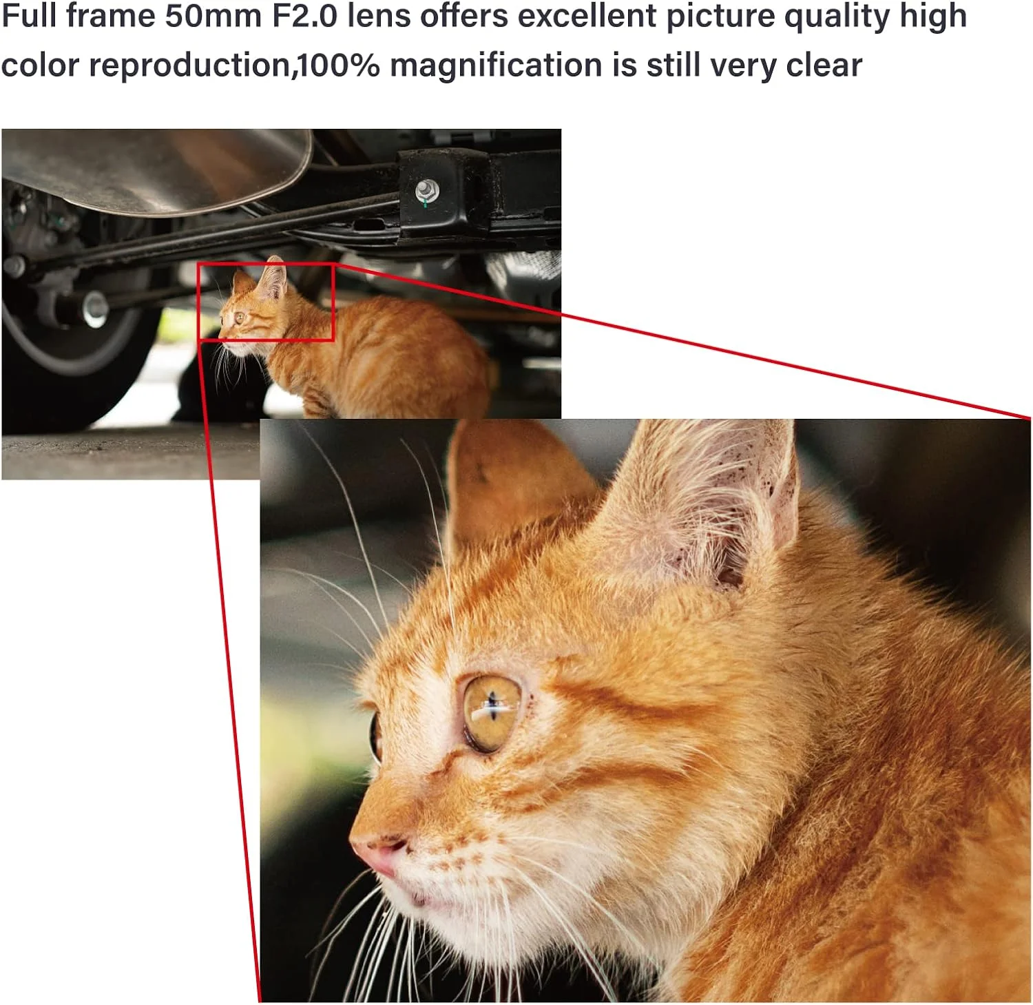 لنز پرایم 50mm F2.0 با دیافراگم بزرگ و دهانه Nikon Z-Mount مدل AstrHori (خاکستری)