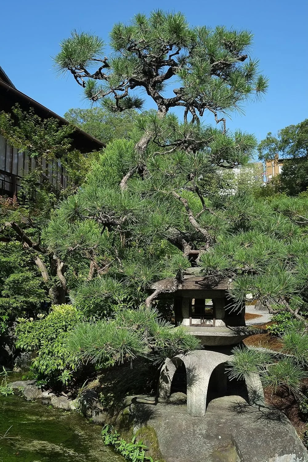 لنز فوجیفلم فوجینون XF23mm F1.4 R لنز فوجیفلم فوجینون XF23mm F1.4 R