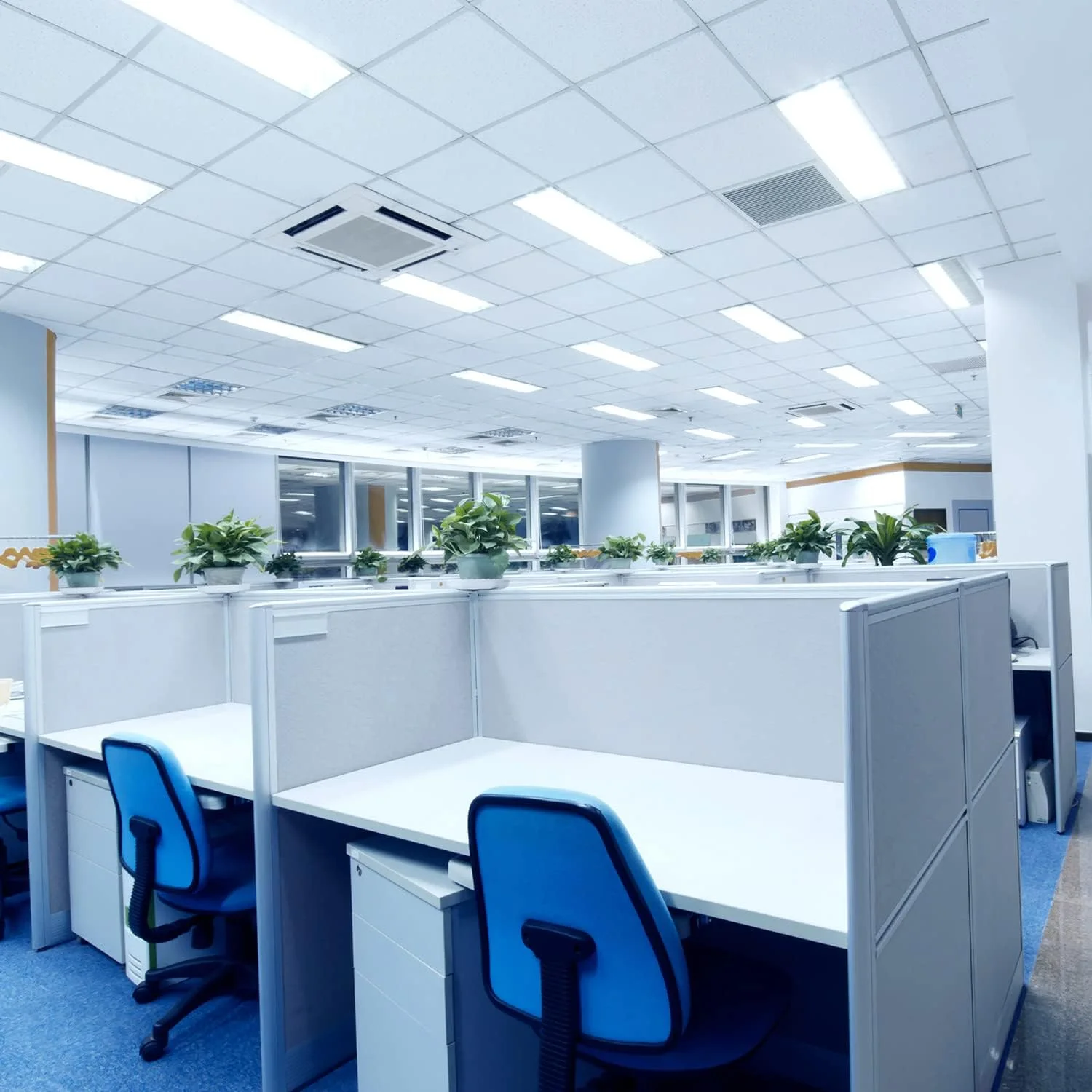 لامپ فلورسنت T8 لاکس رایت (بسته 30 عددی) F32T8/865، 32 وات، 48 اینچ، نور روز 6500 کلوین، 2800 لومن، پایه G13 دو پین متوسط، LR20735