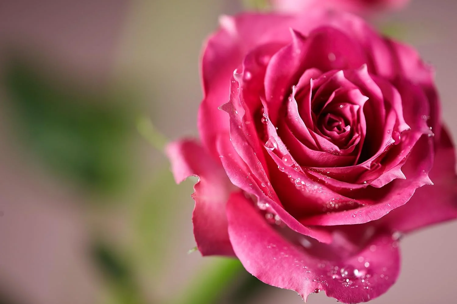 لنز 100 میلیمتری F2.8 سام یانگ برای اتصال Sony E-Mount لنز 100 میلیمتری F2.8 سام یانگ برای اتصال Sony E-Mount