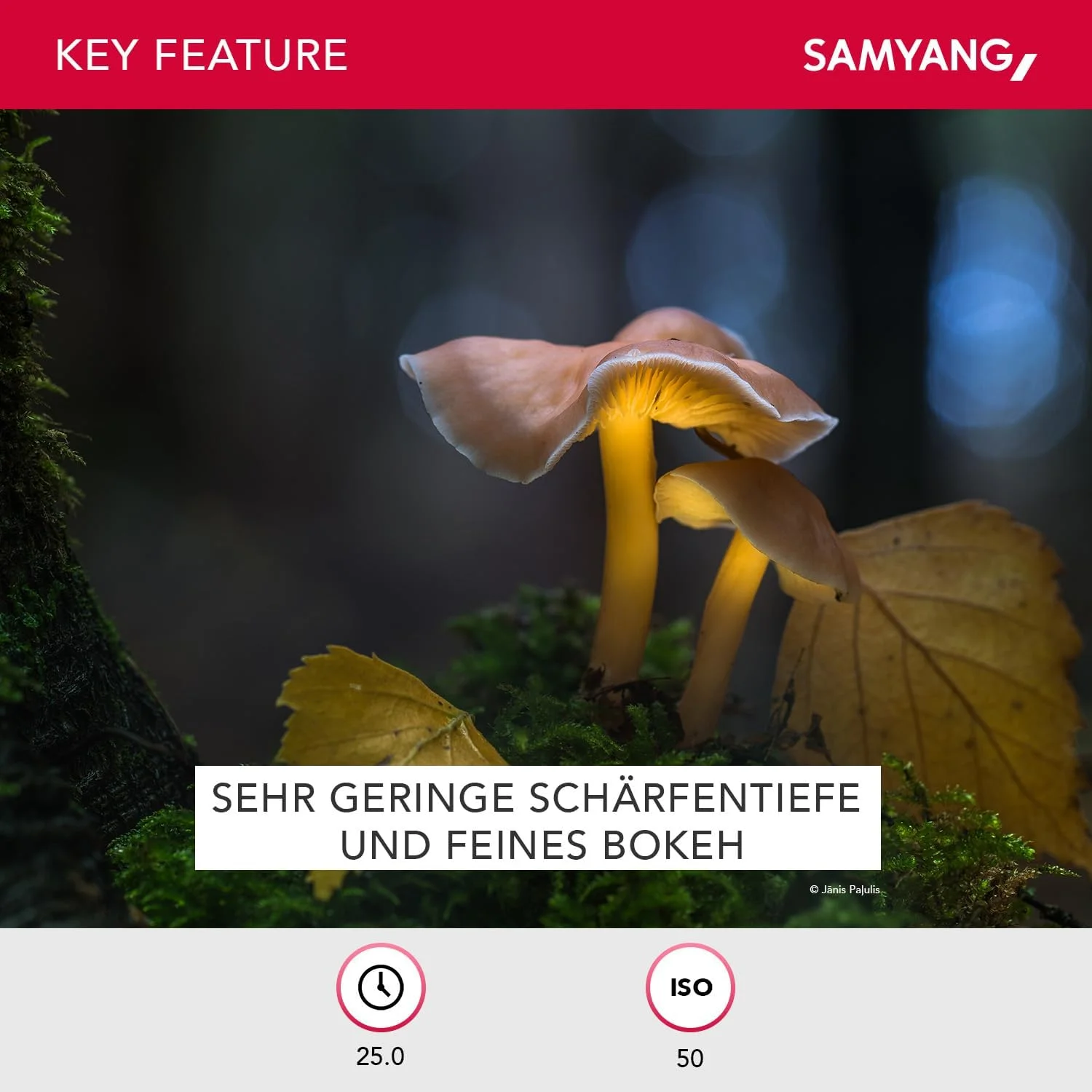 لنز ۱۳۵ میلیمتری Samyang با دیافراگم F2.0 و فوکوس دستی برای Sony-E لنز ۱۳۵ میلیمتری Samyang با دیافراگم F2.0 و فوکوس دستی برای Sony-E