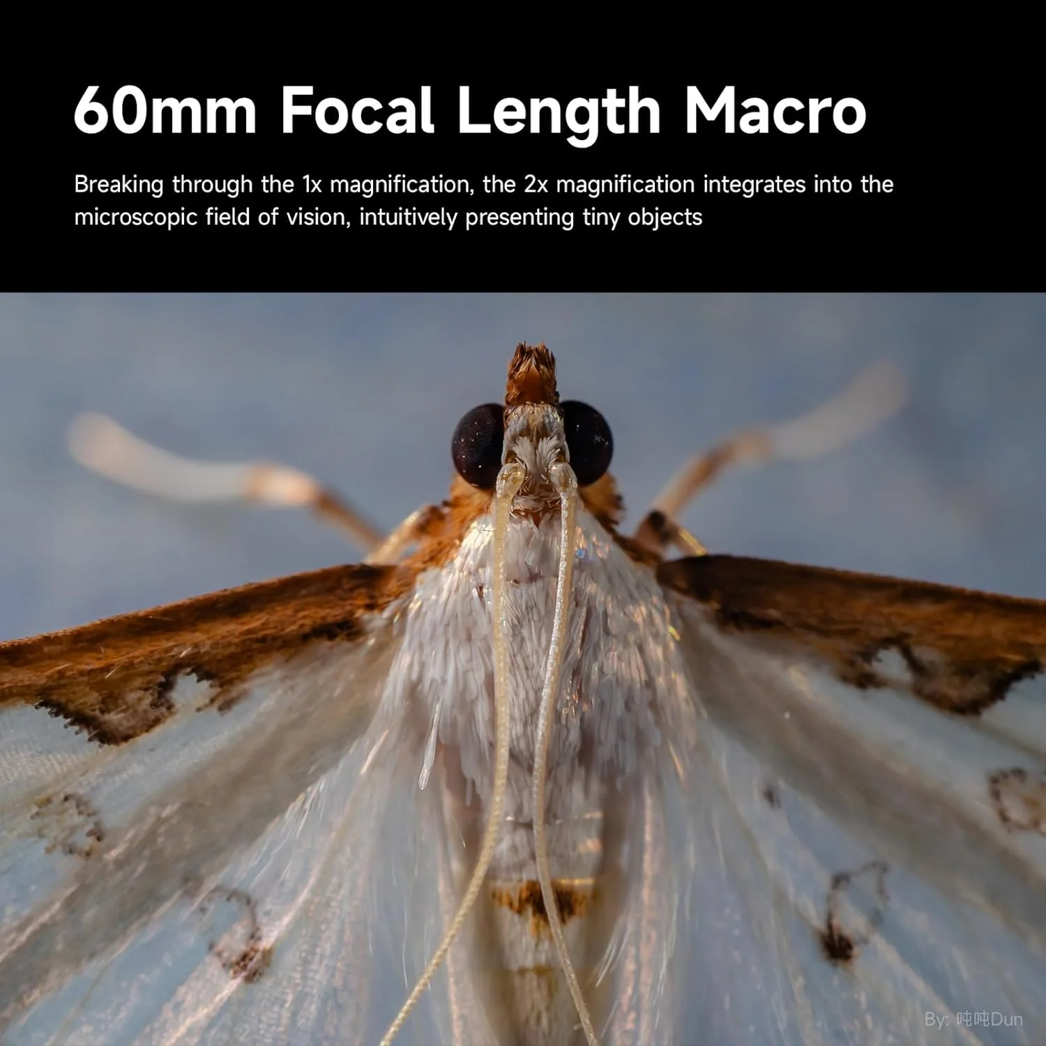 لنز ماکرو 60mm F2.8 II 2X برای دوربین های بدون آینه Sony E Mount، لنز پرایم MF با فوکوس دستی و دیافراگم بزرگ، مناسب برای A6700 A6600 A6500 A6400 ZV-E10 ZV-E10II FX30