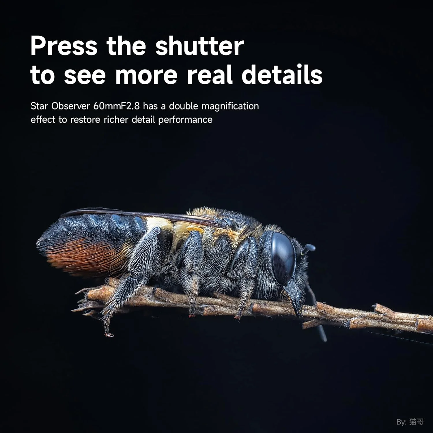 لنز ماکرو 60mm F2.8 II 2X برای دوربین های بدون آینه Sony E Mount، لنز پرایم MF با فوکوس دستی و دیافراگم بزرگ، مناسب برای A6700 A6600 A6500 A6400 ZV-E10 ZV-E10II FX30