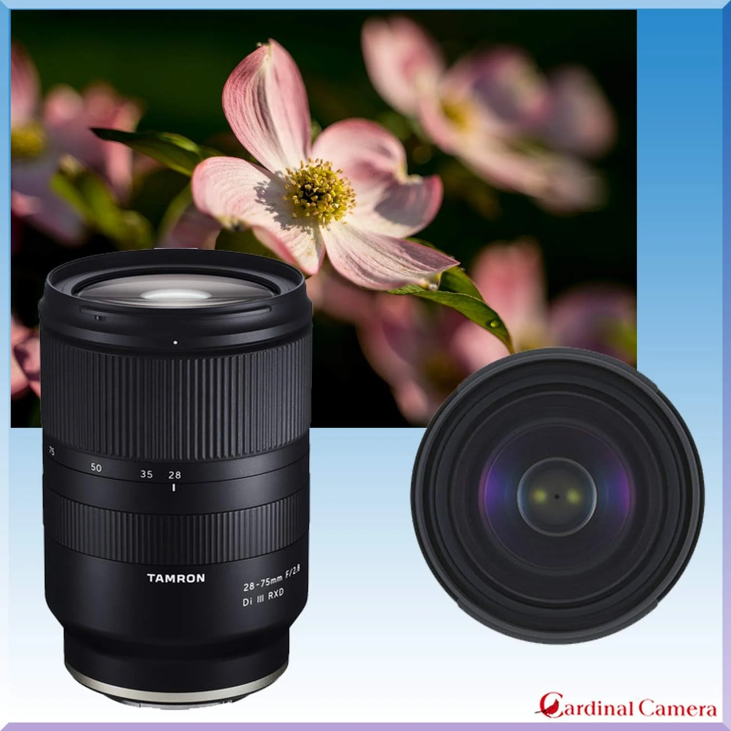 لنز تامرون 28-75mm f/2.8 Di III RXD برای دوربین های سونی E به همراه کارت حافظه 64 گیگابایتی + نرم افزار ویرایش عکس/فیلم + سه پایه انعطاف پذیر و بسته لوازم جانبی سفر