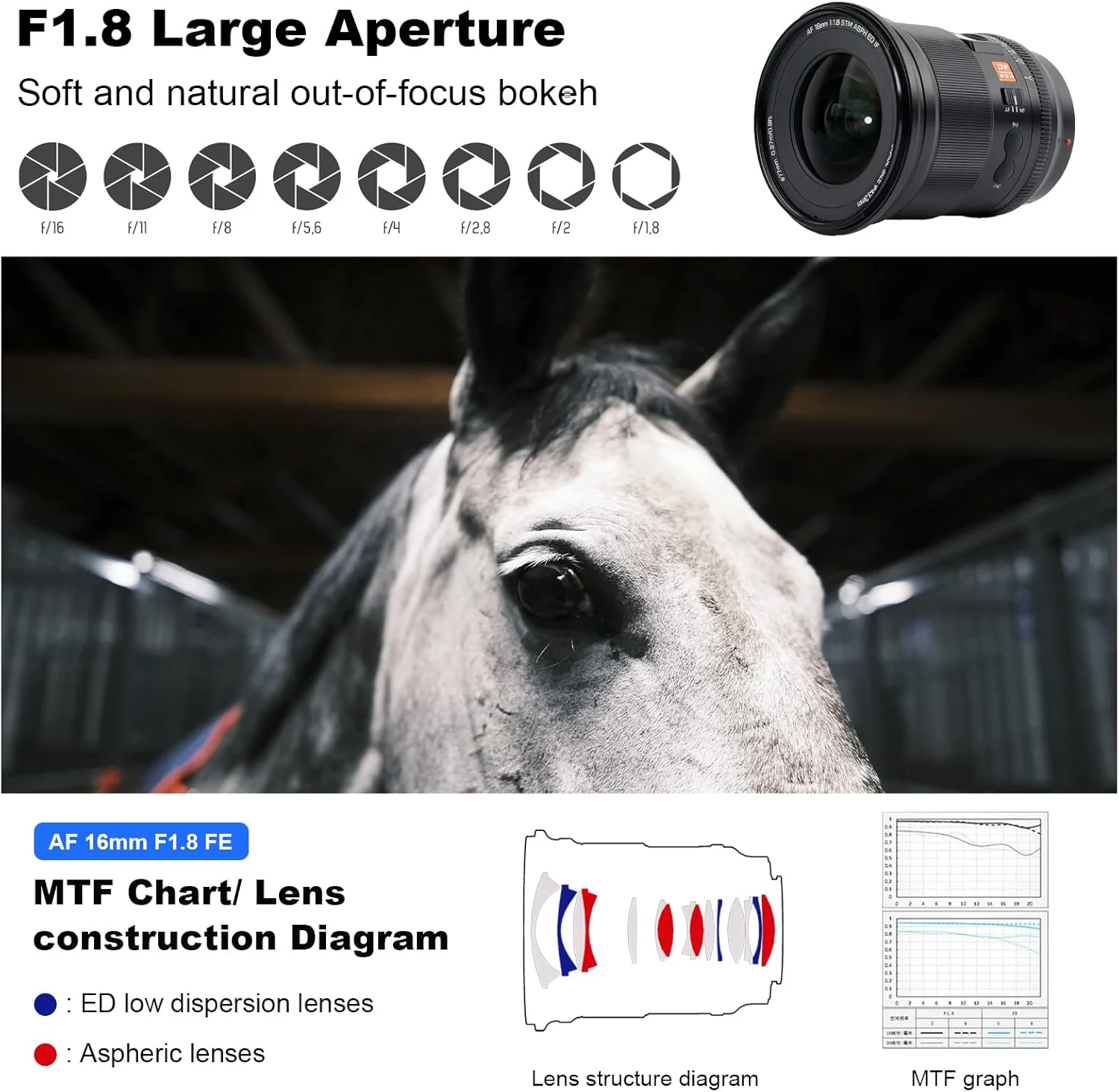 لنز پرایم 16 میلیمتری Viltrox با دیافراگم بزرگ f1.8 و فوکوس خودکار برای مانت Sony E، زاویه دید عریض، بدنه فلزی، پوشش نانو AR، سازگار با Sony a7 a7C a7III a7RIII a7RIV a7RV a9 a6100 لنز پرایم 16 میلیمتری Viltrox با دیافراگم بزرگ f1.8 و فوکوس خودکار برای مانت Sony E، زاویه دید عریض، بدنه فلزی، پوشش نانو AR، سازگار با Sony a7 a7C a7III a7RIII a7RIV a7RV a9 a6100