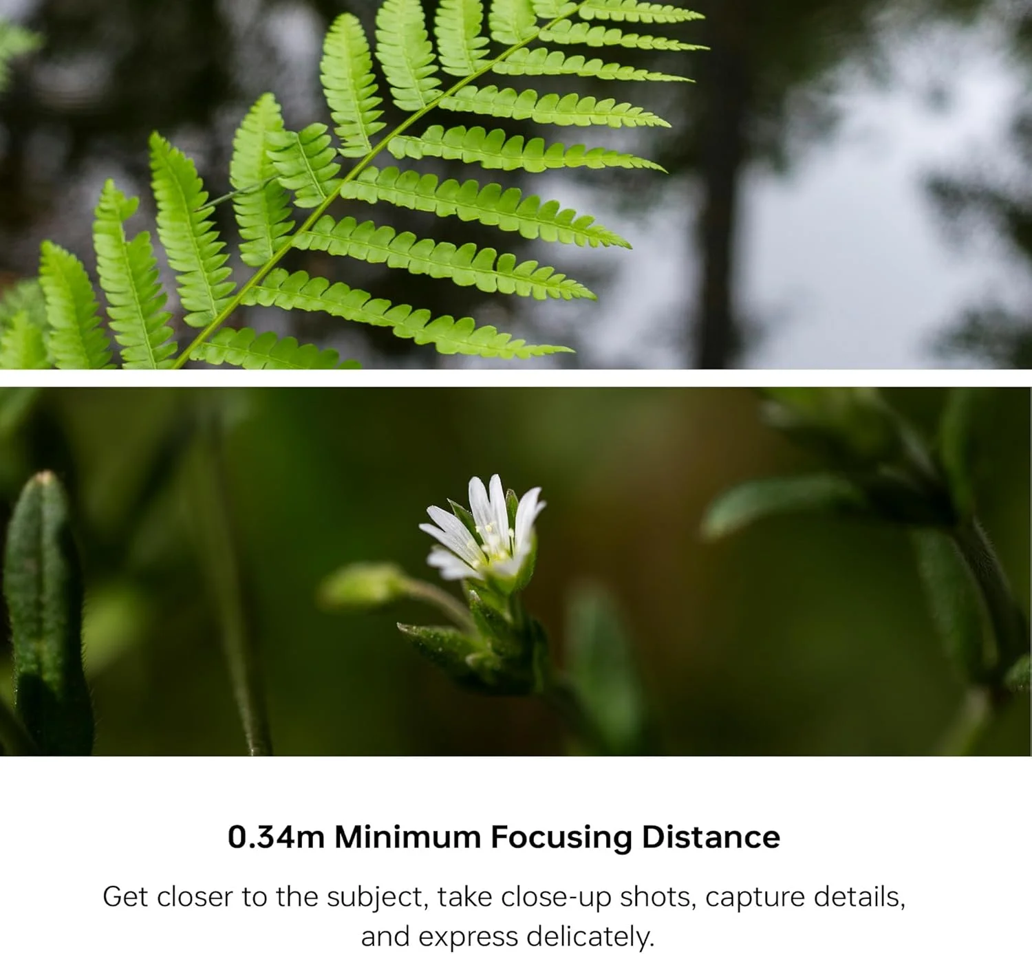 لنز فول فریم ویلتراکس AF 40mm F2.5 برای مانت Sony E، لنز استاندارد موتور فوکوس STM، لنز پرایم جمع و جور برای دوربین سونی a7 a7II a7III a7IV a7R a7RII a7RIII a7RIV a7RV a7S a7SII a7SIII a1 ZV-E1