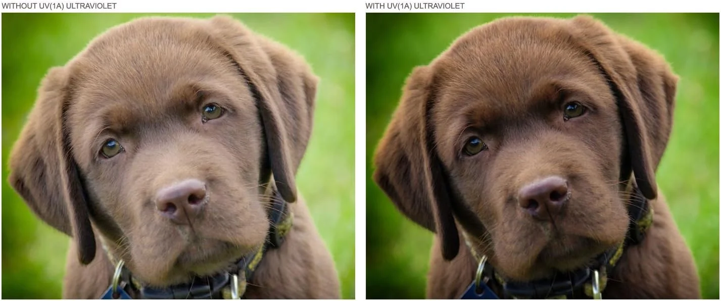 لنز سوپر واید با کیفیت بالا 0.43X به همراه حالت ماکرو سازگار با Sony HDR-PJ810 + فیلترها لنز سوپر واید با کیفیت بالا 0.43X به همراه حالت ماکرو سازگار با Sony HDR-PJ810 + فیلترها