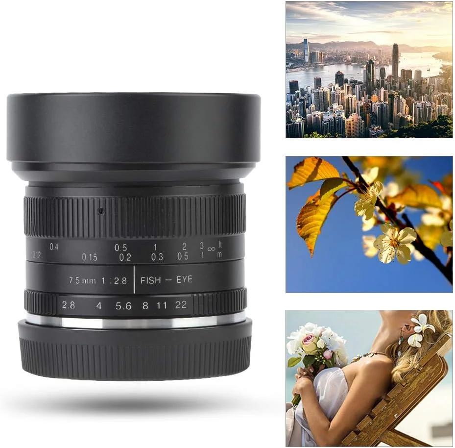 لنز واید انگل SYTR با فوکوس ثابت و پوشش چندگانه، برای دوربین های با مانت E EF-M FX M4/3 (درگاه Canon M) لنز واید انگل SYTR با فوکوس ثابت و پوشش چندگانه، برای دوربین های با مانت E EF-M FX M4/3 (درگاه Canon M)