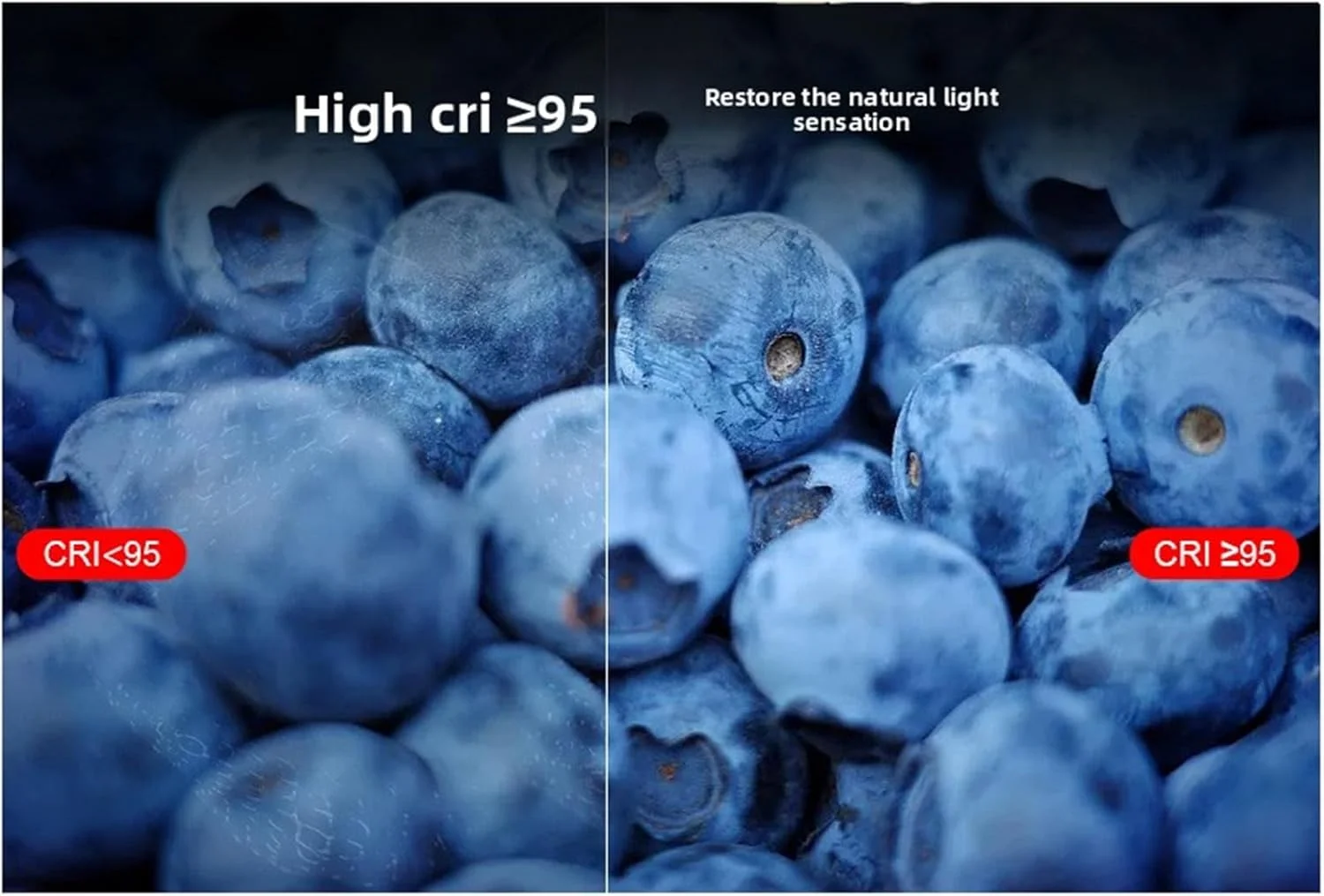 نور عکاسی RGB کرایفوکت با CRI بالا ≥95، ایده آل برای کنفرانس های ویدیویی ولاگ، نور ویدیویی تمام رنگی 1800-9000K