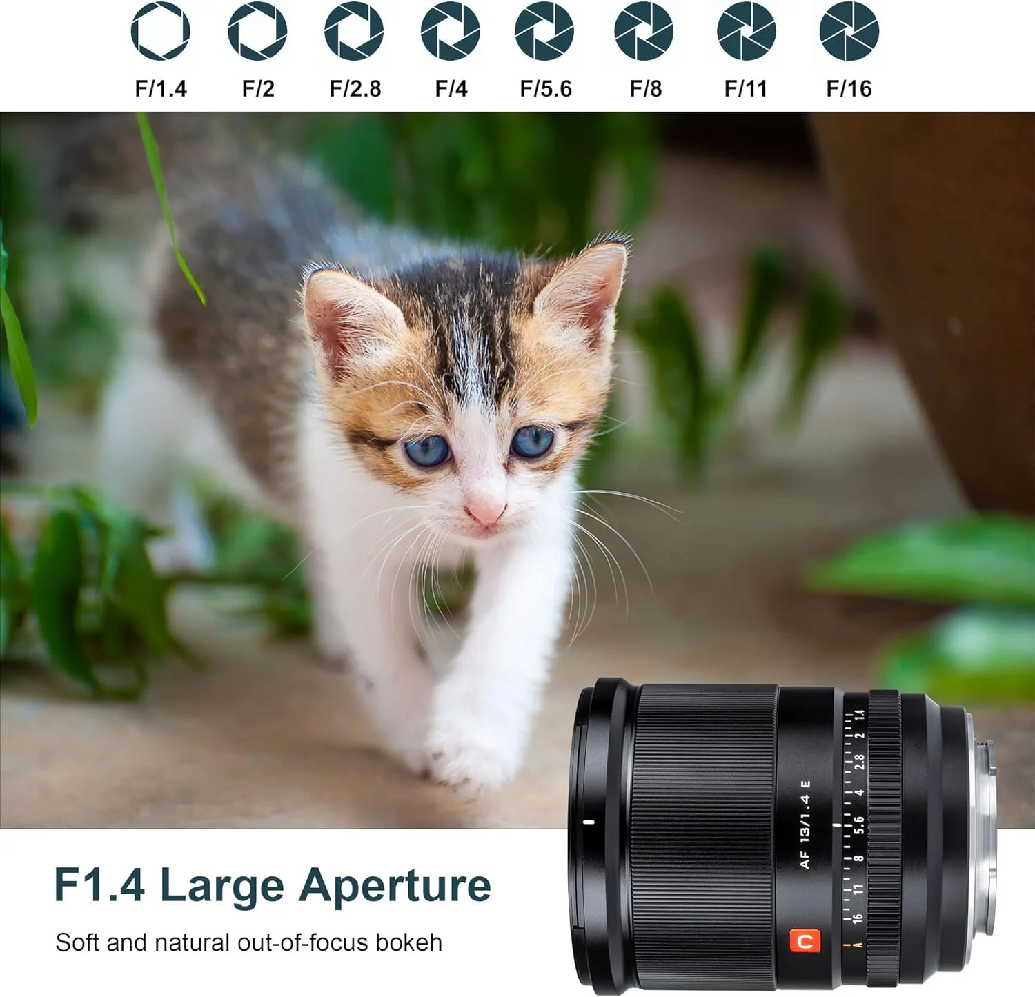 لنز ۱۳ میلیمتری VILTROX با دیافراگم f/1.4، لنز با زاویه دید فوقالعاده باز APS-C با دهانه بزرگ و فوکوس خودکار برای دوربینهای Sony E-Mount A6500 A6400 A6300 A6000 A7RⅣ A7RⅢ A7Ⅲ A7RⅡ A7Ⅱ A7S A7R A7 A9 A9II لنز ۱۳ میلیمتری VILTROX با دیافراگم f/1.4، لنز با زاویه دید فوقالعاده باز APS-C با دهانه بزرگ و فوکوس خودکار برای دوربینهای Sony E-Mount A6500 A6400 A6300 A6000 A7RⅣ A7RⅢ A7Ⅲ A7RⅡ A7Ⅱ A7S A7R A7 A9 A9II