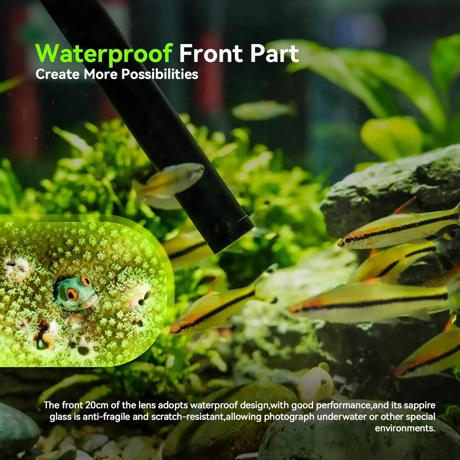 لنز ماکرو پروب زاویه باز 18 میلیمتری F8 APS-C 2X AstrHori با نور حلقوی داخلی برای دوربینهای بدون آینه کانن سری RF مانت EOS R, RP, R5, R6, R7, R10, R8 و غیره (مشکی) لنز ماکرو پروب زاویه باز 18 میلیمتری F8 APS-C 2X AstrHori با نور حلقوی داخلی برای دوربینهای بدون آینه کانن سری RF مانت EOS R, RP, R5, R6, R7, R10, R8 و غیره (مشکی)