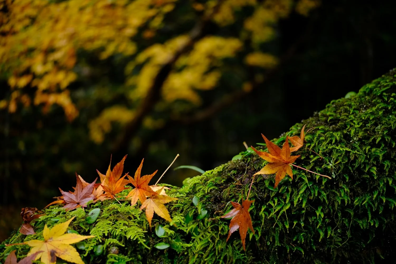 لنز TTArtisan 27mm F2.8 با بدنه فلزی و فوکوس خودکار سازگار با مانت FujiFilm FX - نقره ای