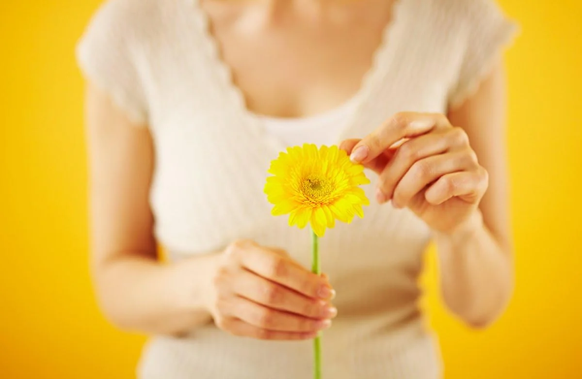 لنز 50 میلیمتری Samyang با دیافراگم F1.4 و فوکوس دستی برای Micro 4-Thirds لنز 50 میلیمتری Samyang با دیافراگم F1.4 و فوکوس دستی برای Micro 4-Thirds