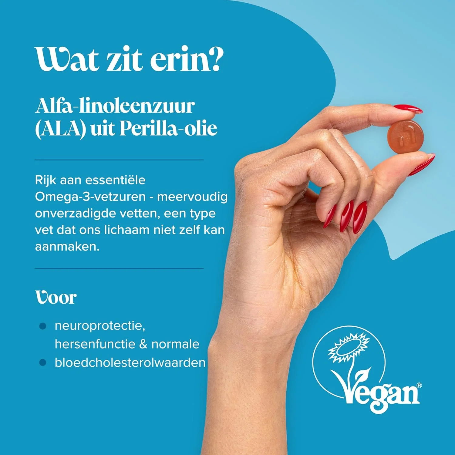 پاستیل های امگا 3 6 9 گیاهی نوومینز - تامین یک ماهه - پشتیبانی از سلامت قلب، مغز و چشم - گیاهی و وگان - امگا 3 6 9 جویدنی - جایگزین پایدار گیاهی برای روغن ماهی - تولید شده