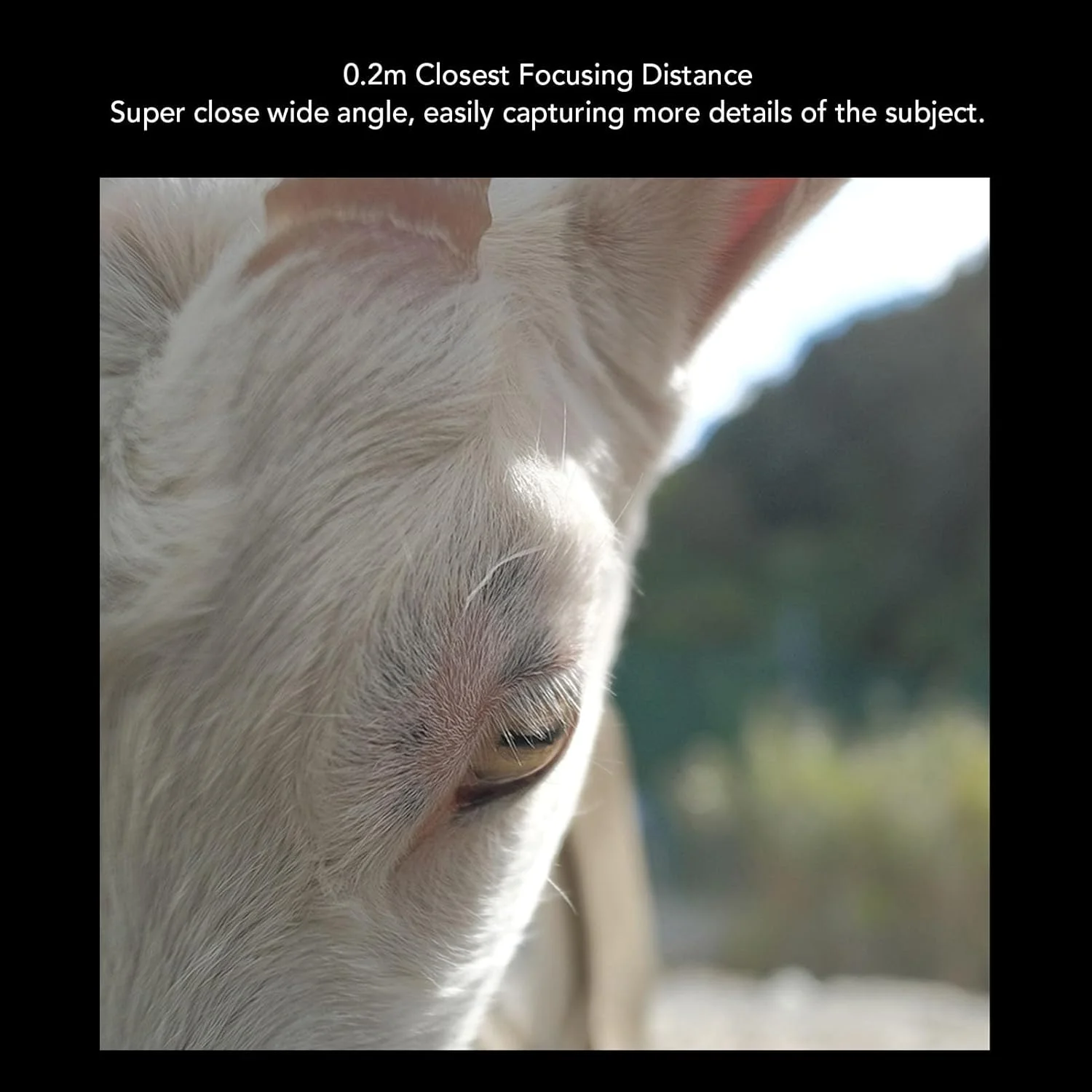 لنز عمومی F2.0، فوکوس دستی روی پایه RF برای R7 R10 R50 R100 (مشکی)