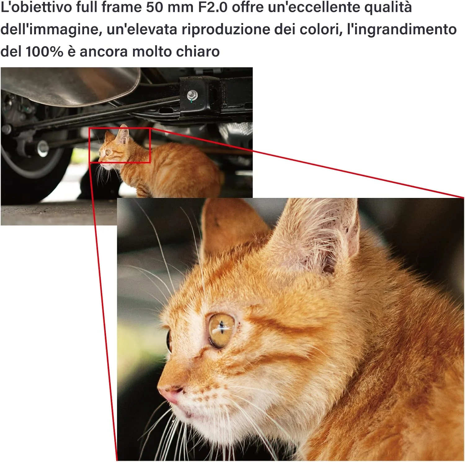 لنز 50 میلی‌متری F2.0 AstrHori با دیافراگم بزرگ، لنز فول فریم دستی سازگار با دوربین‌های بدون آینه فوجی فیلم X-Mount مدل‌های X-T100, X-S10, X-A1, X-A3, X-A5, X-A20, X-M1 و غیره (خاکستری)