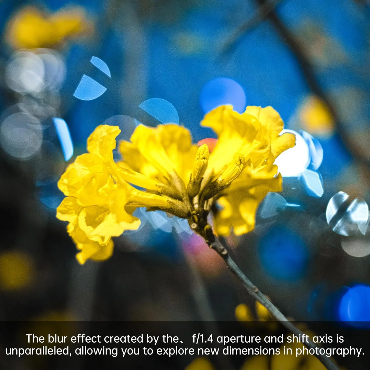 لنز 50mm f1.4 دستی با دیافراگم بزرگ APS-C برای دوربین های سونی E (مشکی)