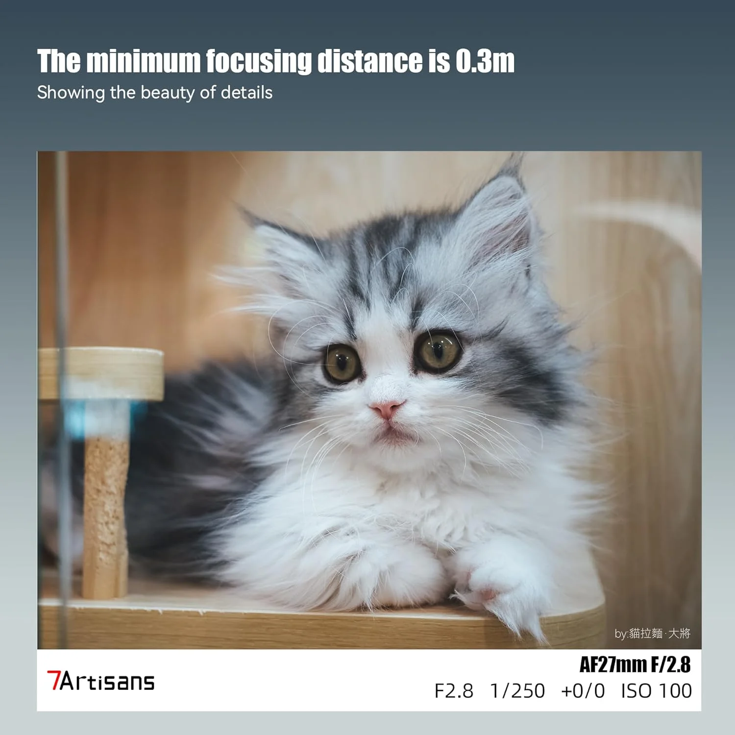 لنز 27mm F2.8 با فوکوس خودکار 7artisans، دهانه بزرگ F2.8، پشتیبانی از دهانه خودکار/دستی و تشخیص چهره/چشم، سازگار با Sony FS5/FS7/FS7M2/FS5M2K/A3000/A5000/A6000 (مشکی) لنز 27mm F2.8 با فوکوس خودکار 7artisans، دهانه بزرگ F2.8، پشتیبانی از دهانه خودکار/دستی و تشخیص چهره/چشم، سازگار با Sony FS5/FS7/FS7M2/FS5M2K/A3000/A5000/A6000 (مشکی)