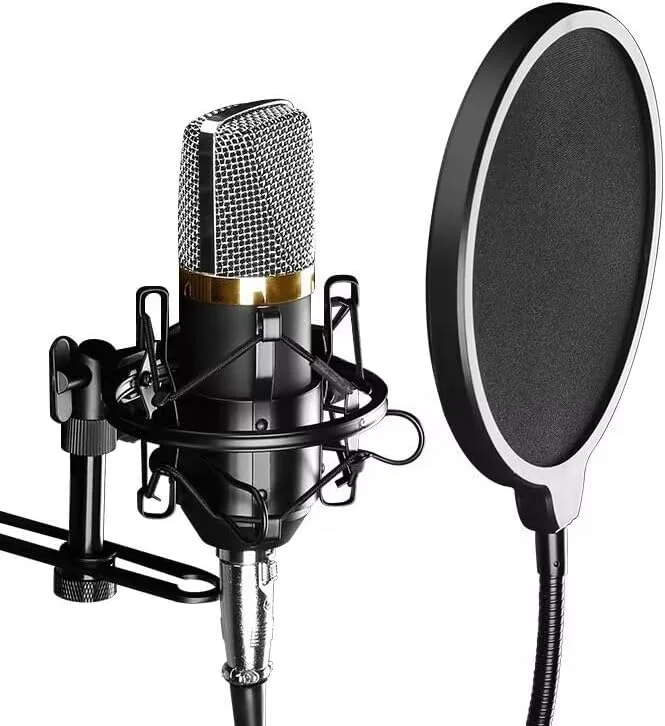 صفحه فیلتر میکروفون حرفه ای هورنو - محافظ پاپ میکروفون با گردنی انعطاف پذیر