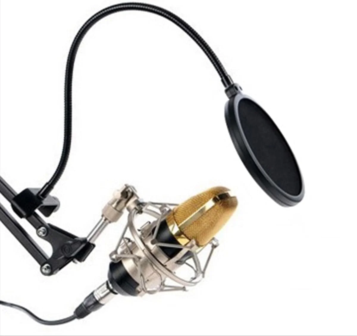 فیلتر پاپ میکروفون، محافظ ماسک میکروفون، محافظ پاپ میکروفون، صفحه پاپ بادگیر صدا دو لایه با بازوی تثبیت کننده گیره گردن غازی 360 درجه انعطاف پذیر برای میکروفون ها فیلتر پاپ میکروفون، محافظ ماسک میکروفون، محافظ پاپ میکروفون، صفحه پاپ بادگیر صدا دو لایه با بازوی تثبیت کننده گیره گردن غازی 360 درجه انعطاف پذیر برای میکروفون ها