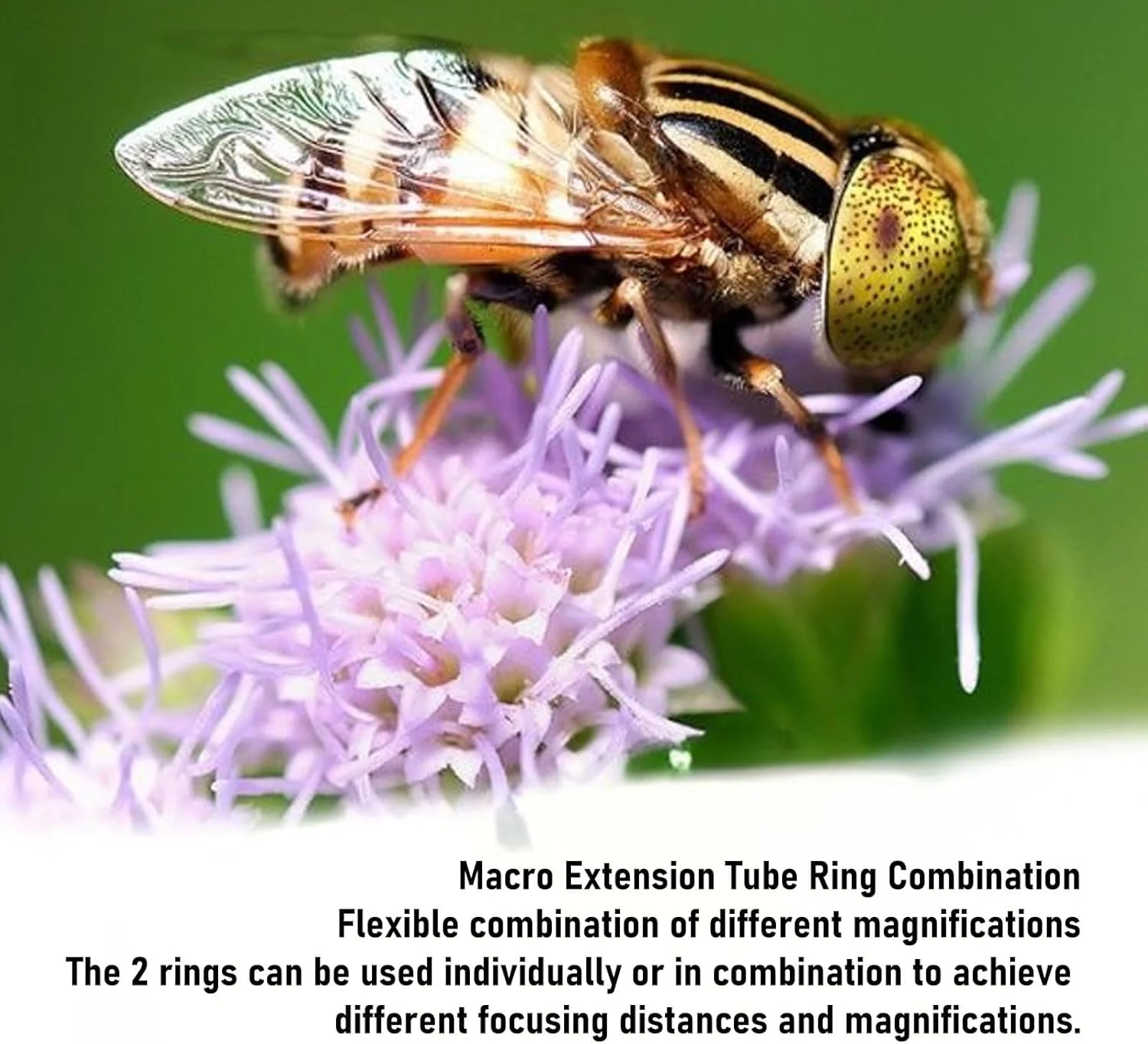 آداپتور لوله افزایش طول ماکرو با فوکوس خودکار AF، برای دوربین های دارای مانت L مدل های SL CL TL TL2 SL SL2 SL2 S برای S1 S1R S1H S5 Fp Fp L آداپتور لوله افزایش طول ماکرو با فوکوس خودکار AF، برای دوربین های دارای مانت L مدل های SL CL TL TL2 SL SL2 SL2 S برای S1 S1R S1H S5 Fp Fp L