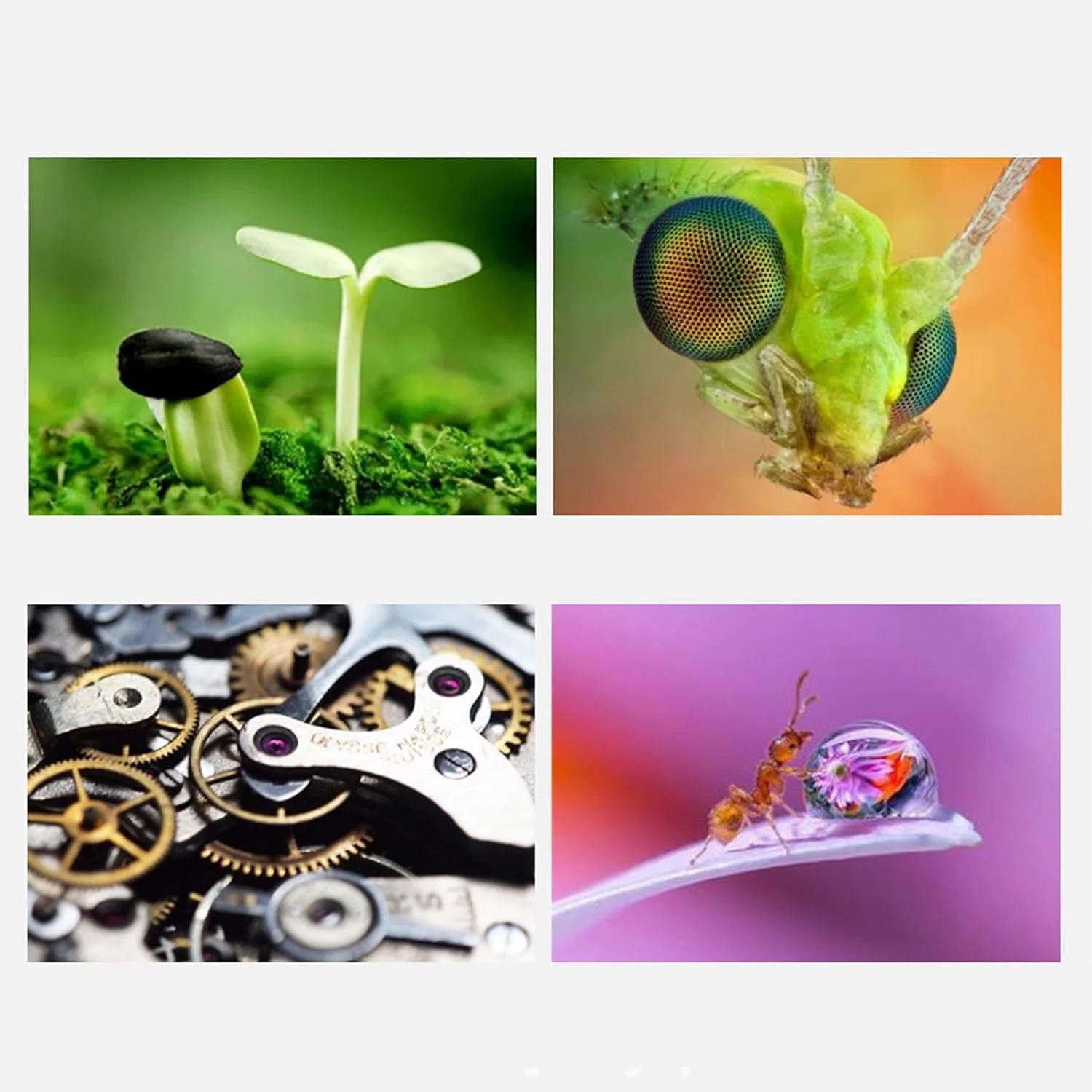 لوله افزایش طول ماکرو با فوکوس خودکار 40 میلی‌متری برای FUJIFILM GFX 100II 100SII 100S 50SII، آداپتور مانت G برای AF/AE، ابزار عکاسی از نمای نزدیک