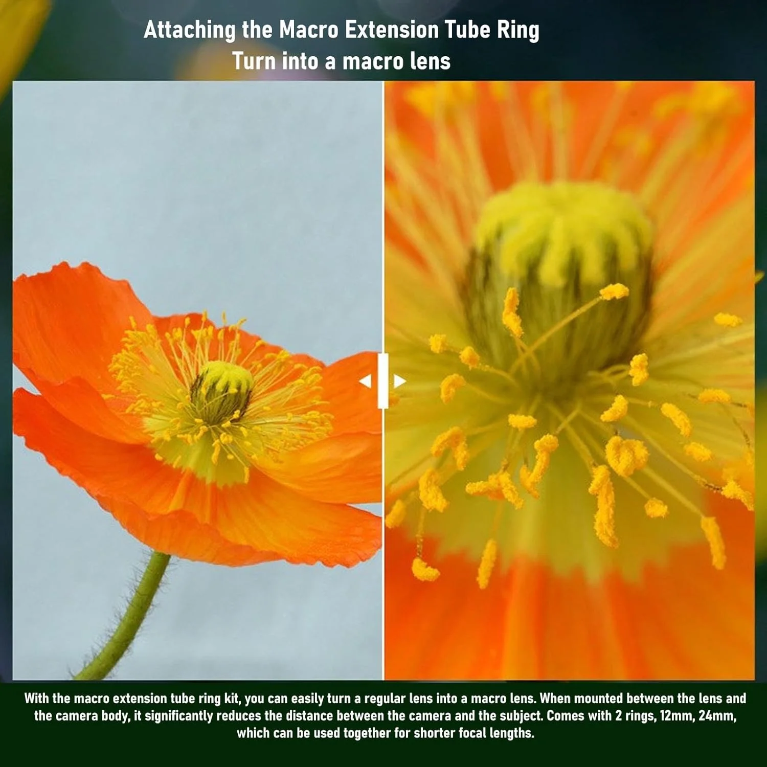 آداپتور لوله افزایش طول ماکرو با فوکوس خودکار AF، برای دوربین های دارای مانت L مدل های SL CL TL TL2 SL SL2 SL2 S برای S1 S1R S1H S5 Fp Fp L آداپتور لوله افزایش طول ماکرو با فوکوس خودکار AF، برای دوربین های دارای مانت L مدل های SL CL TL TL2 SL SL2 SL2 S برای S1 S1R S1H S5 Fp Fp L