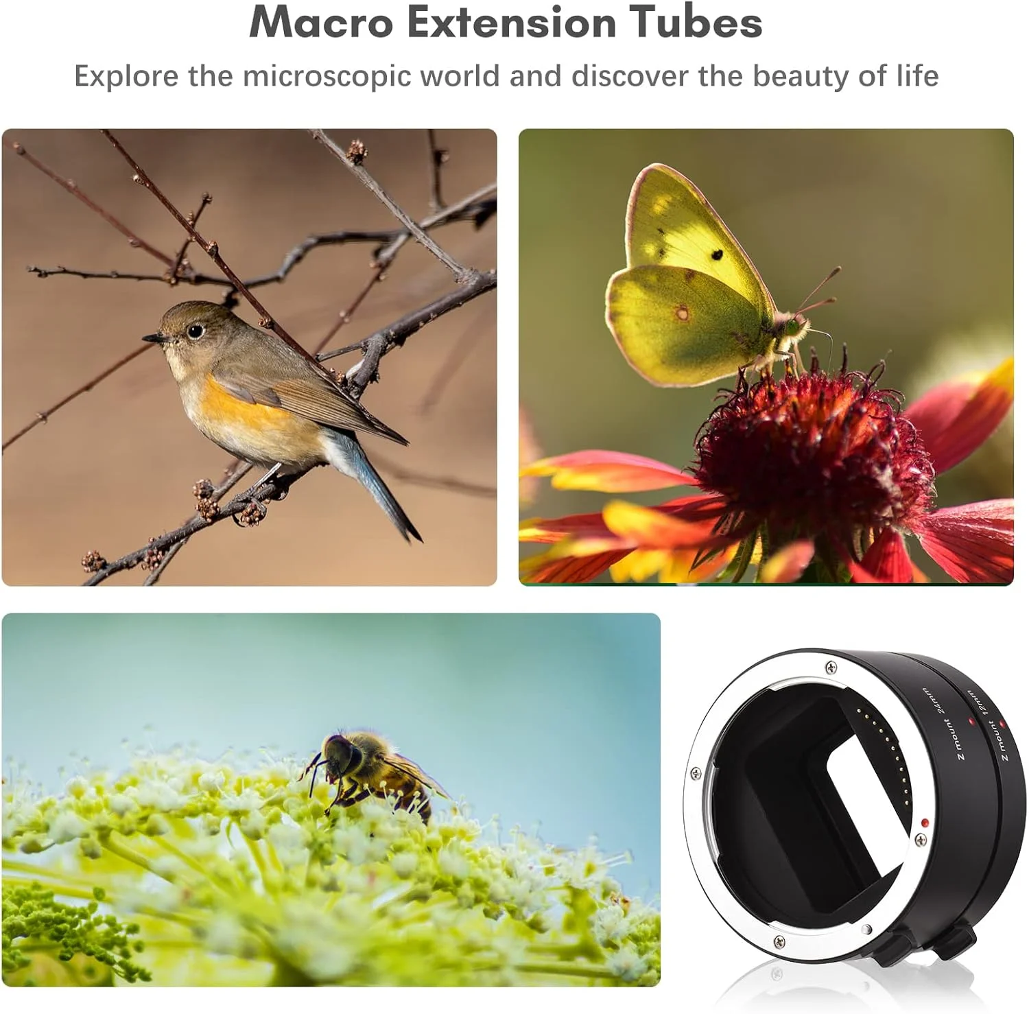 لوله های افزایش طول اتوماتیک با فوکوس خودکار Labymos 12mm + 24mm با مانت Z، مناسب برای عکاسی ماکرو، سازگار با دوربین های بدون آینه نیکون Z50 Z5 Z6 Z6II Z7 Z7II