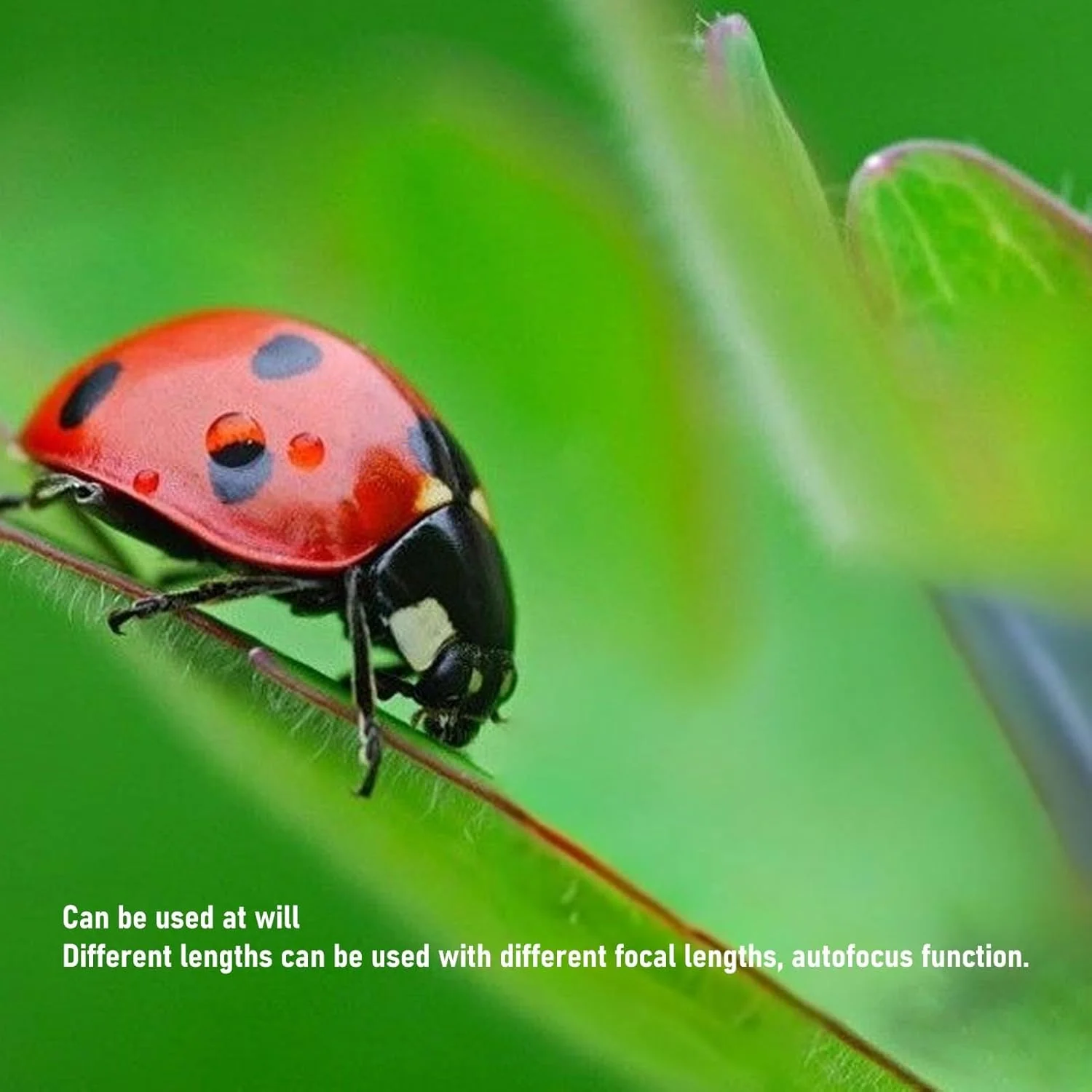 آداپتور لوله افزایش طول ماکرو با فوکوس خودکار Cryfokt AF، سازگار با T/SL/CL/TL/TL2/SL/SL2/SL2-S/S1/S1R/S1H/S5/fp/fp