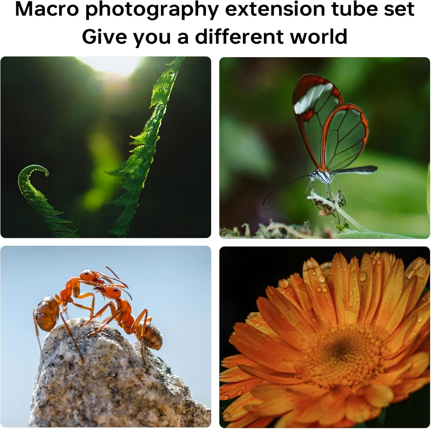 حلقه آداپتور لوله افزایش طول ماکرو با فوکوس خودکار و مانت فلزی VILTROX DG-C (12mm+20mm+36mm) برای لنزهای Canon EF/EF-S و دوربین DSLR