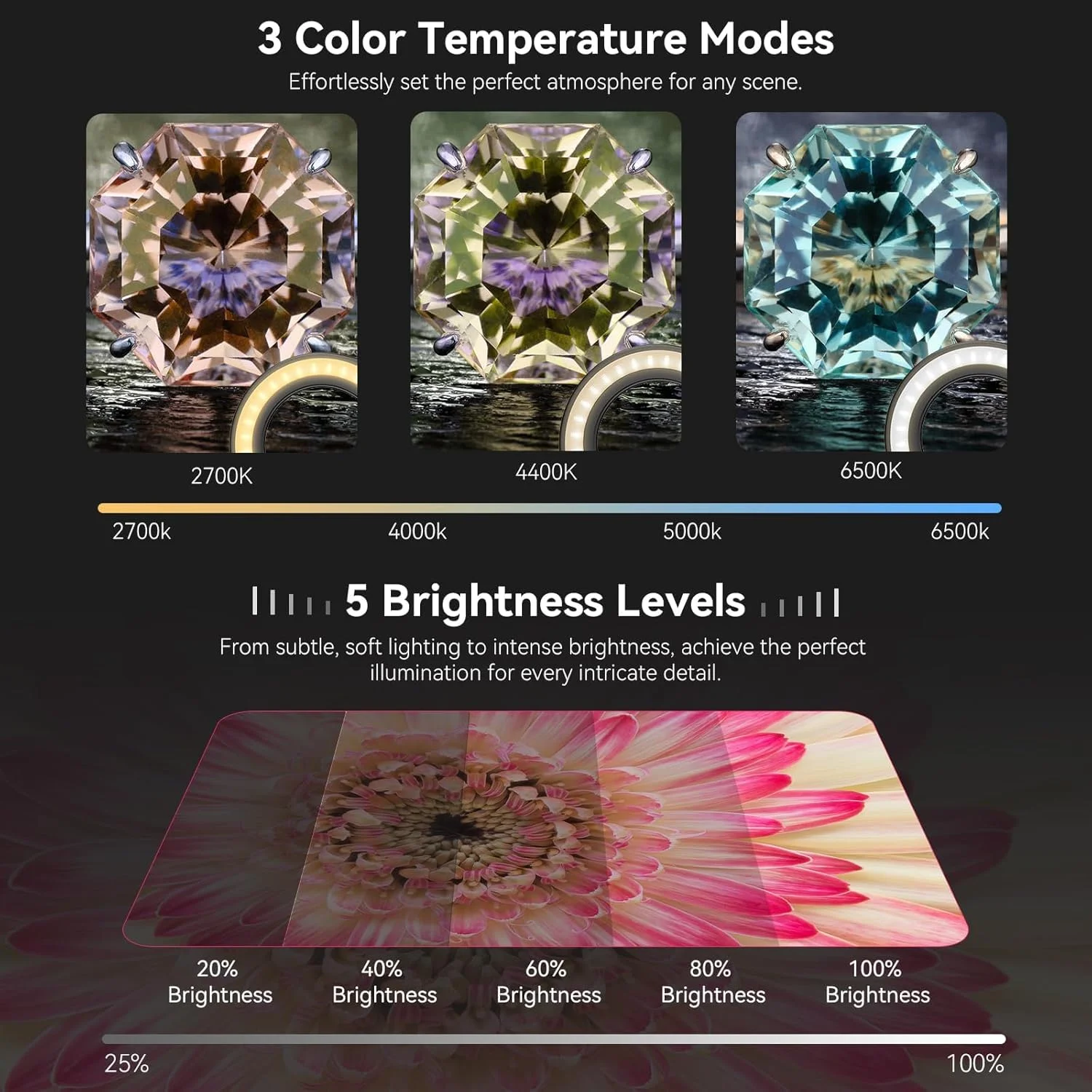 نور پرکننده لنز ماکرو Azonee با رزوه 37mm+52mm (فقط نور)، چراغ حلقه ای قابل حمل تلفن همراه با 32 LED با CRI بالا 95، 45 حالت نور، اتصالات لنز برای تمام لنزها/فیلترها/لنزهای دوربین تلفن 37mm+52mm نور پرکننده لنز ماکرو Azonee با رزوه 37mm+52mm (فقط نور)، چراغ حلقه ای قابل حمل تلفن همراه با 32 LED با CRI بالا 95، 45 حالت نور، اتصالات لنز برای تمام لنزها/فیلترها/لنزهای دوربین تلفن 37mm+52mm