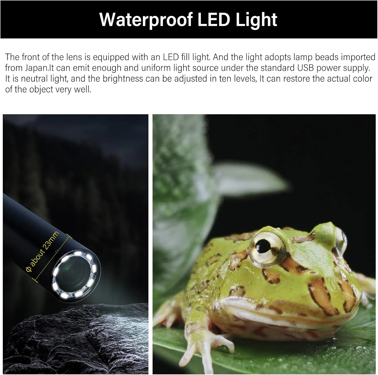 لنز ماکرو پروب 28mm F13 2X AstrHori، لنز تخصصی فول فریم با نور حلقوی داخلی برای دوربین های بدون آینه سری Nikon Z مدل های Z5, Z6, Z6II, Z7, Z7II, Z9, Z50, ZFC و غیره (مشکی)