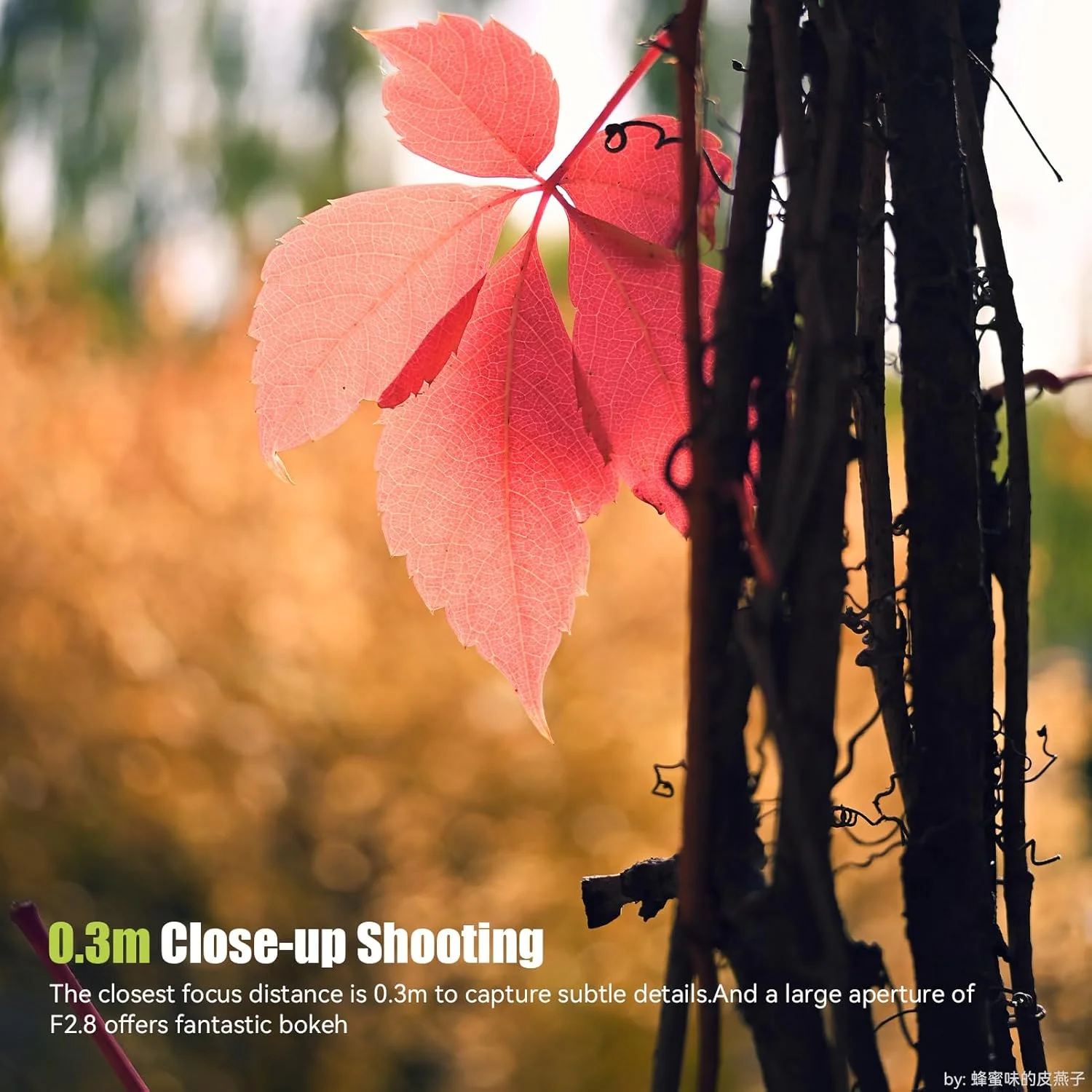 لنز دوربین عکاسی AstrHori AF 27 mm F2.8 با فوکوس خودکار، لنز فوق العاده جمع و جور پنکیکی، دیافراگم بزرگ، لنز دوربین بدون آینه ممتاز برای Nikon Z-Mount ZFC, Z30, Z50 (خاکستری)