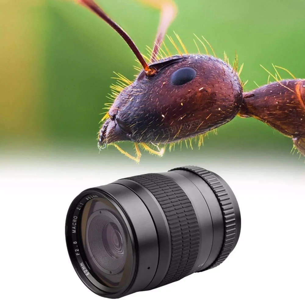 لنز ماکروی ثابت 60mm F2.8 2:1 Lightdow برای دوربین های DSLR کانن 550D 650D 1000D 750D 77D 80D 5D4 نیکون (دهانه نیکون F)