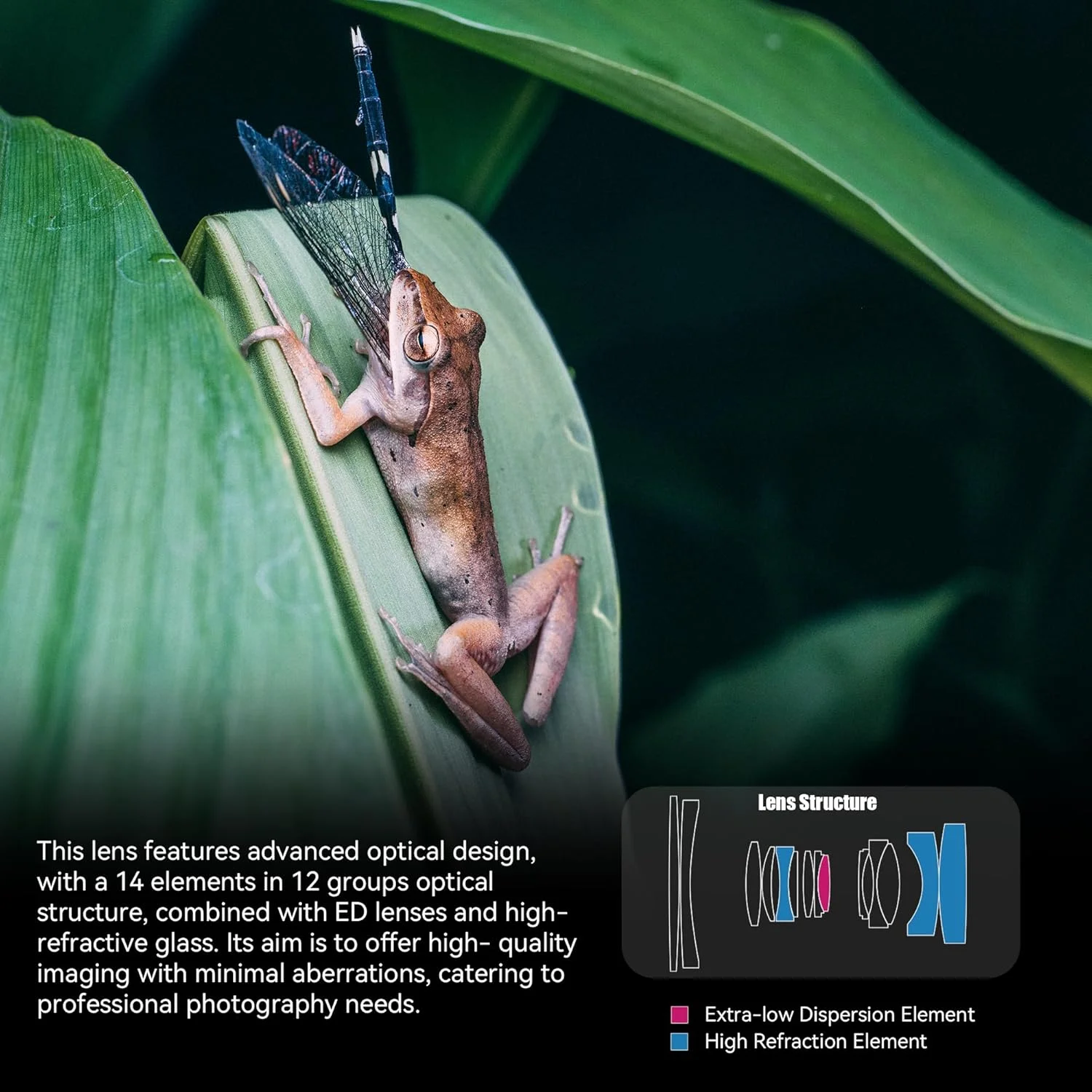 لنز سینمایی فول فریم 7artisans MF65mm T2.9