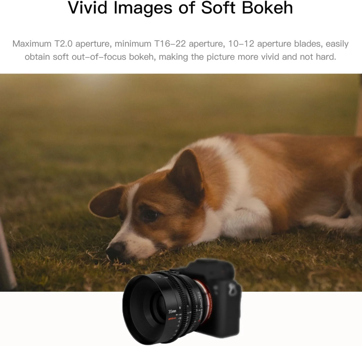 لنز سینمایی 35mm T2.0 هفت آرتیسانز، لنز فیلمبرداری سینمایی فول فریم با دیافراگم بزرگ برای دوربین های نیکون با مانت Z مدل های Z5 Z6 Z7 Z9 Z50 Z6II Z7II ZFC لنز سینمایی 35mm T2.0 هفت آرتیسانز، لنز فیلمبرداری سینمایی فول فریم با دیافراگم بزرگ برای دوربین های نیکون با مانت Z مدل های Z5 Z6 Z7 Z9 Z50 Z6II Z7II ZFC