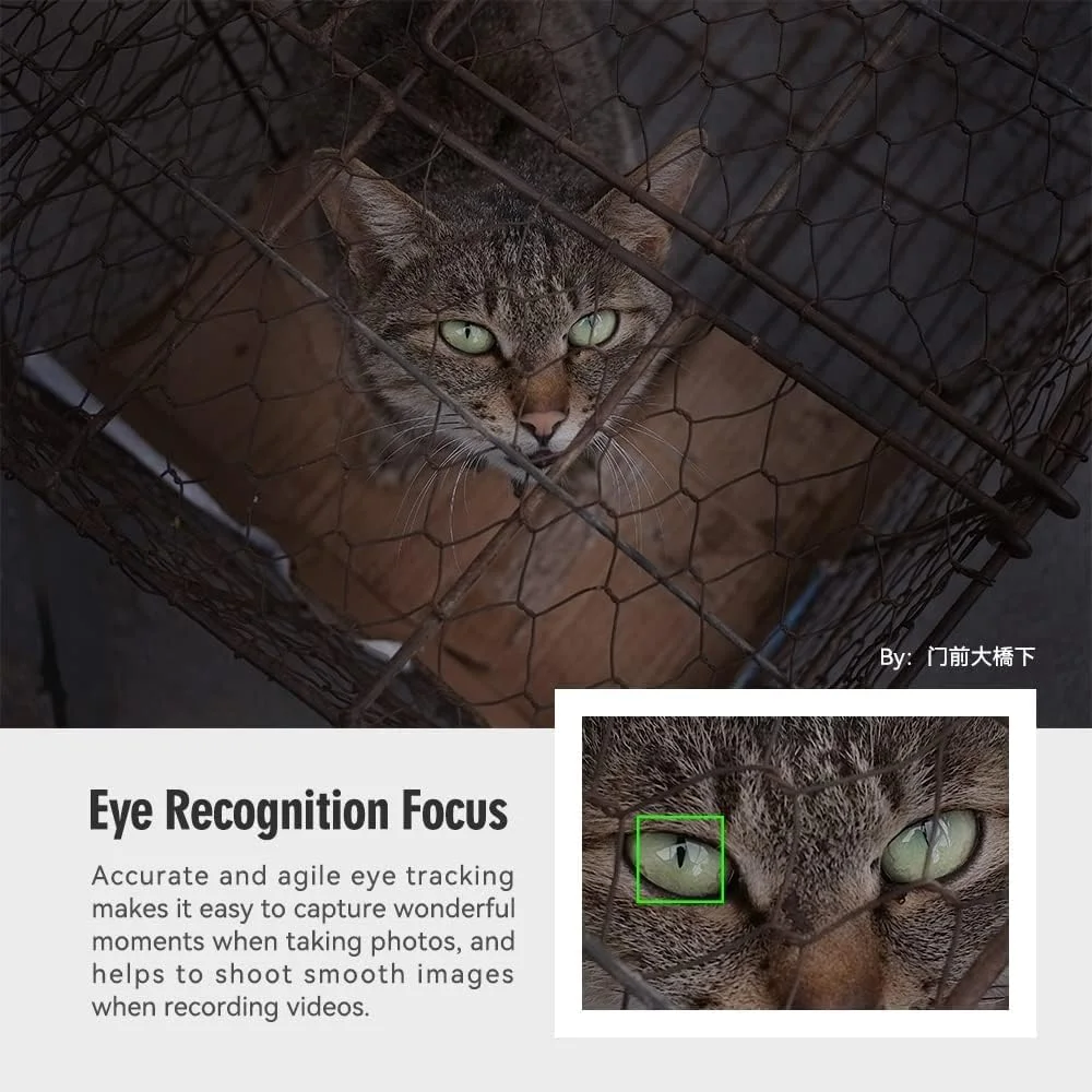 لنز فوکوس خودکار TTArtisan AF 27mm F2.8 مانت E مناسب دوربین های سونی با مانت E مدل APS-C سری A6700 A6600 A6500 A6300 A6100 حالت APS-C سری A9 سری A7 سری NEX لنز فوکوس خودکار TTArtisan AF 27mm F2.8 مانت E مناسب دوربین های سونی با مانت E مدل APS-C سری A6700 A6600 A6500 A6300 A6100 حالت APS-C سری A9 سری A7 سری NEX