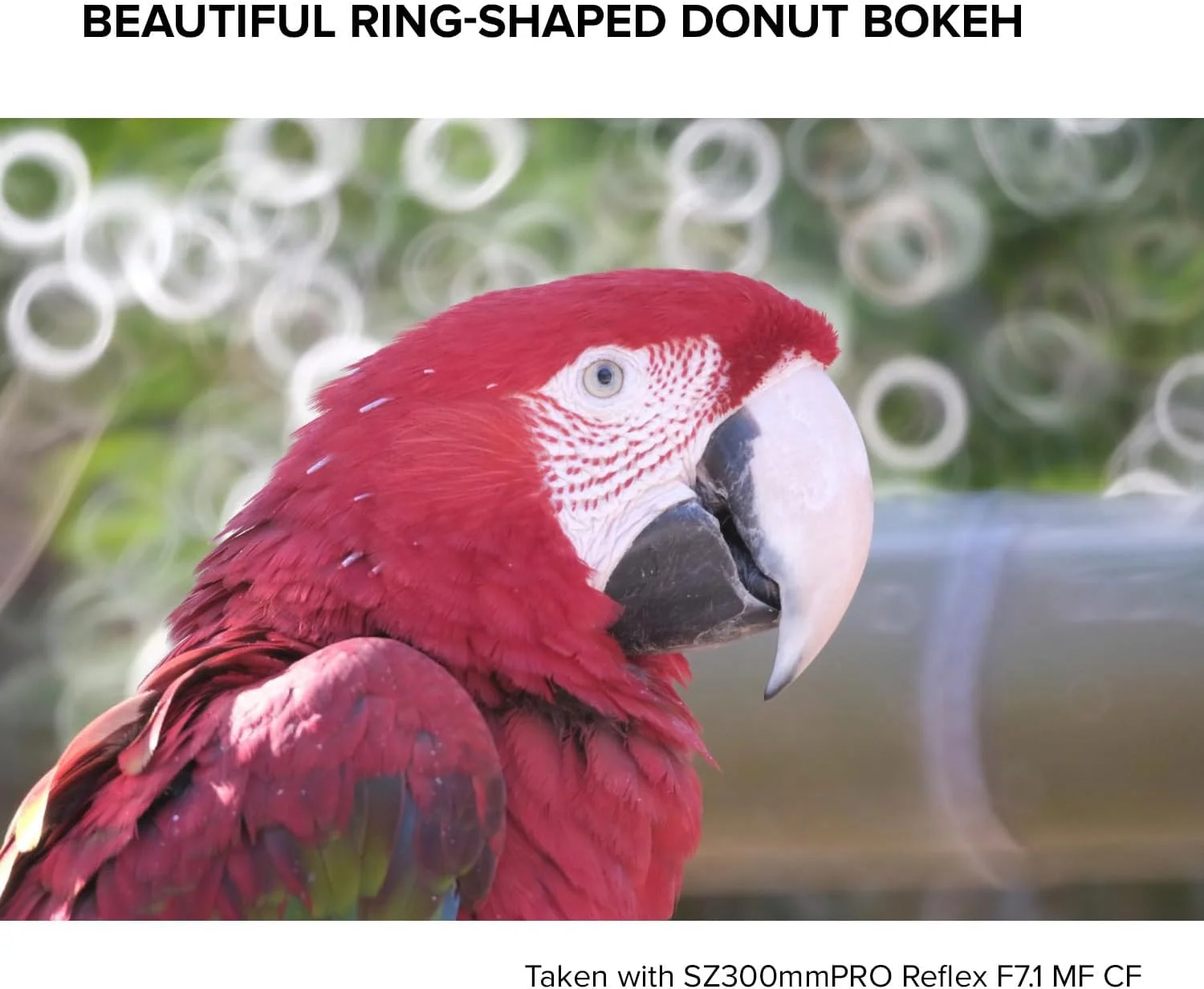 لنز تله فوتو آینه ای توکینا SZ-Pro 300 mm F7.1 MF با مانت Canon EF-M لنز تله فوتو آینه ای توکینا SZ-Pro 300 mm F7.1 MF با مانت Canon EF-M