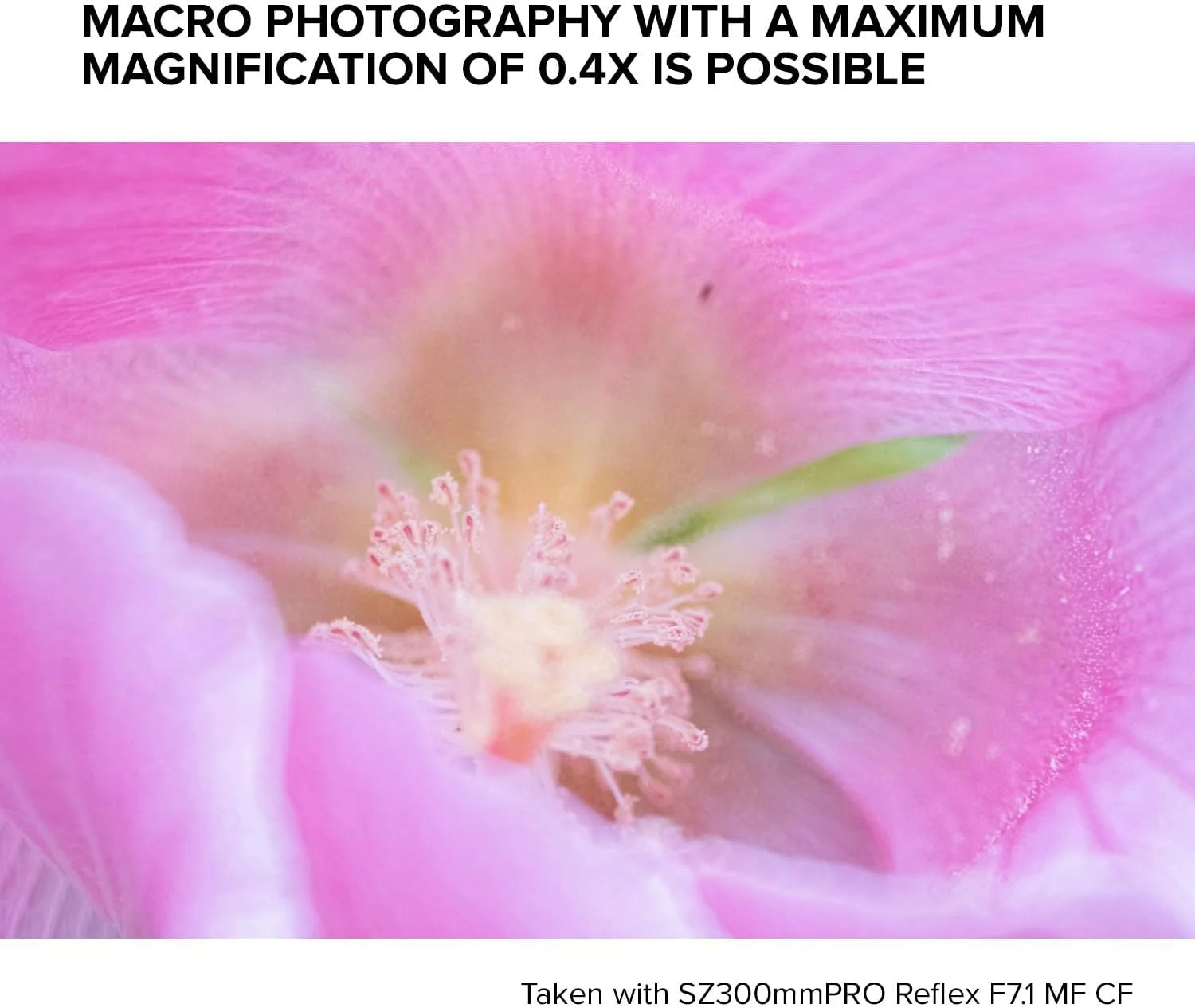 لنز تله فوتو آینه ای توکینا SZ-Pro 300 mm F7.1 MF با مانت Canon EF-M لنز تله فوتو آینه ای توکینا SZ-Pro 300 mm F7.1 MF با مانت Canon EF-M