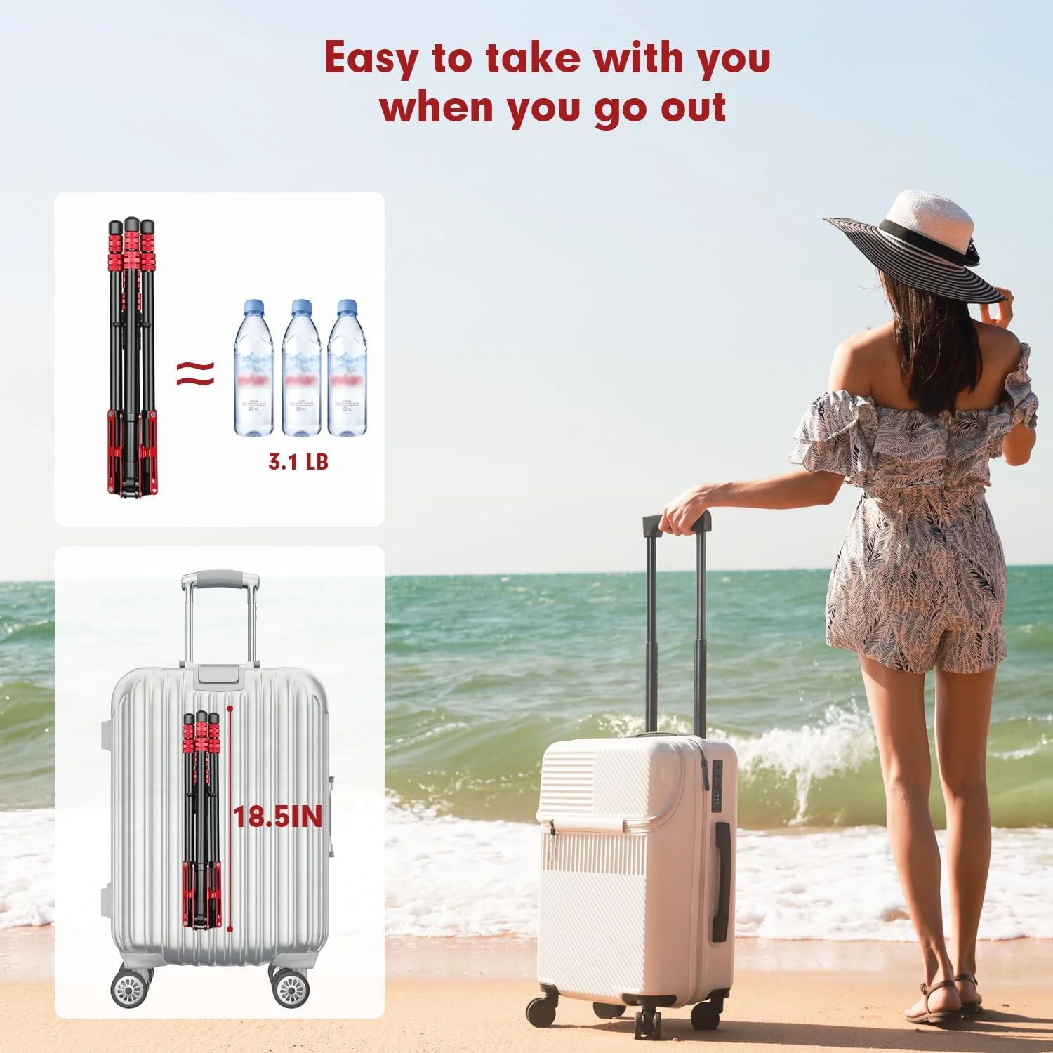 پایه نور FreeSea با کیف حمل، سه پایه عکاسی آلومینیومی 2.22 متری برای رفلکتورها، سافت باکس ها، فلاش، نورهای استروب، چترها، سه پایه نور سبک و جمع و جور پایه نور FreeSea با کیف حمل، سه پایه عکاسی آلومینیومی 2.22 متری برای رفلکتورها، سافت باکس ها، فلاش، نورهای استروب، چترها، سه پایه نور سبک و جمع و جور