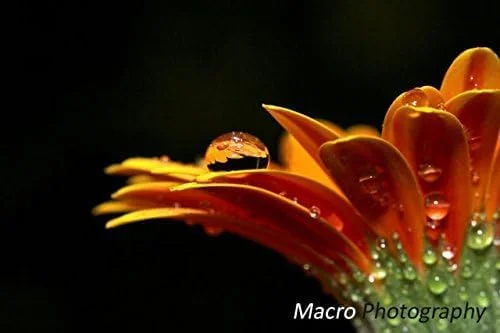 لنز چشم ماهی واید انگل 37 میلیمتری به همراه لنز ماکرو برای سونی TRV-68 لنز چشم ماهی واید انگل 37 میلیمتری به همراه لنز ماکرو برای سونی TRV-68