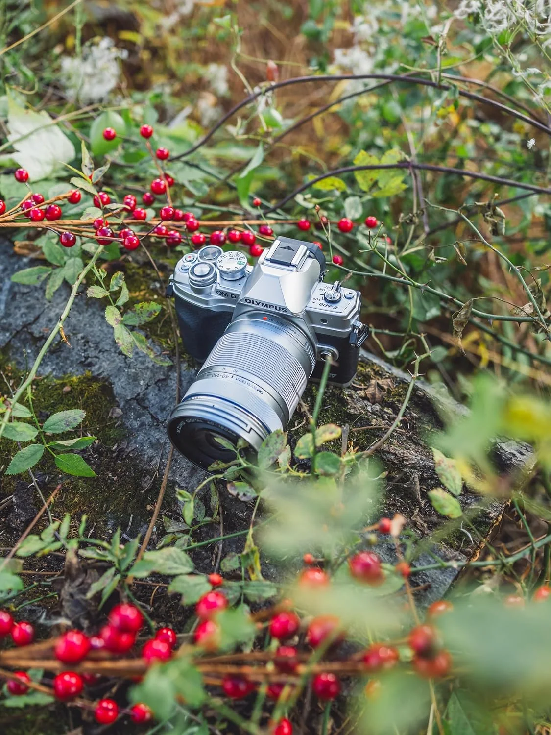 OM SYSTEM Olympus M.Zuiko Digital MC-20، تله کانورتور 2X OM SYSTEM Olympus M.Zuiko Digital MC-20، تله کانورتور 2X