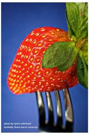 مبدل های ماکرو 8 میلی متری و 16 میلی متری لنزبیبی