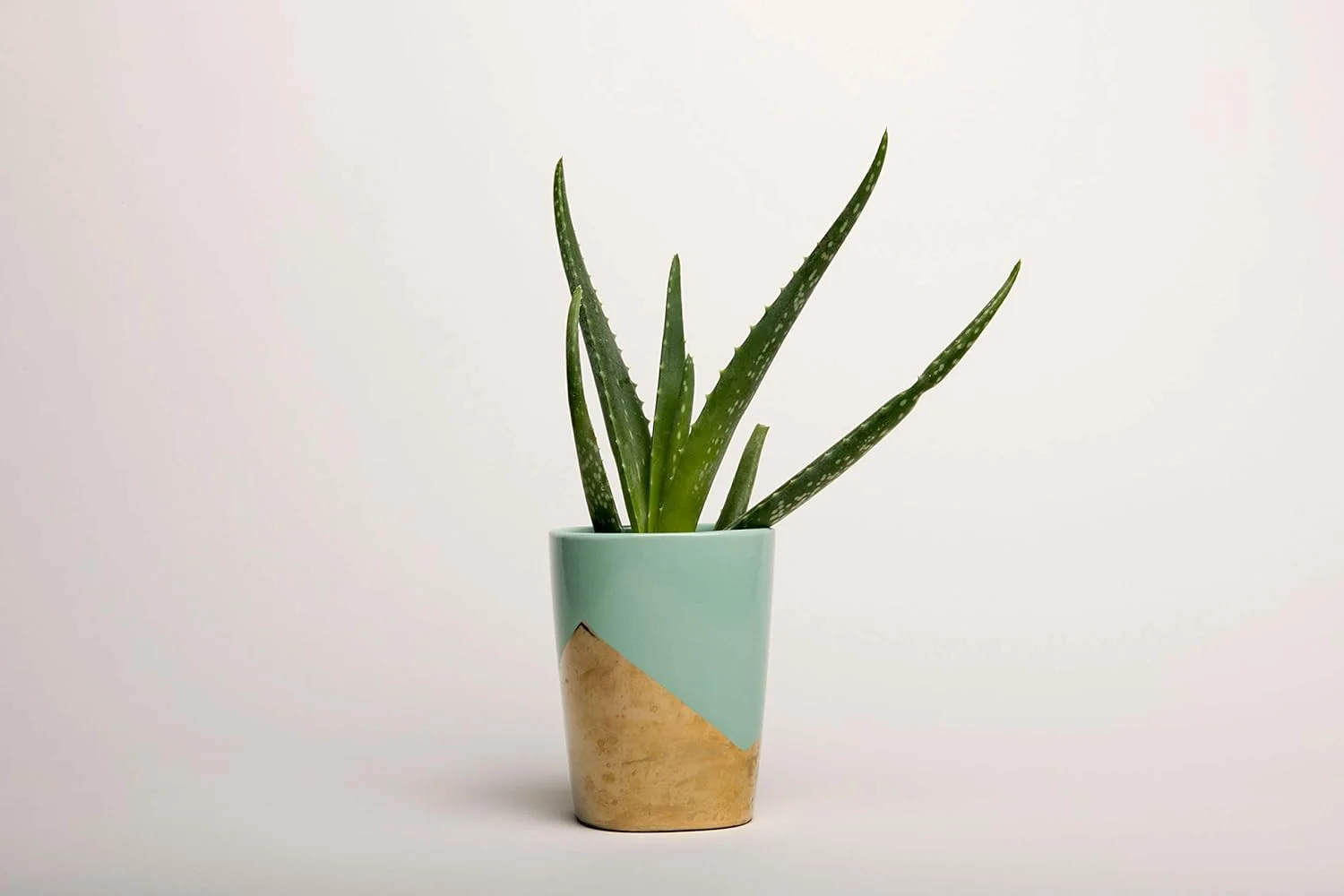 پس زمینه کاغذی صورتی Promage PM-PB143 – پس زمینه بدون درز 2.72 × 11 متری برای عکاسی، استودیو و فیلمبرداری (سفید) پس زمینه کاغذی صورتی Promage PM-PB143 – پس زمینه بدون درز 2.72 × 11 متری برای عکاسی، استودیو و فیلمبرداری (سفید)