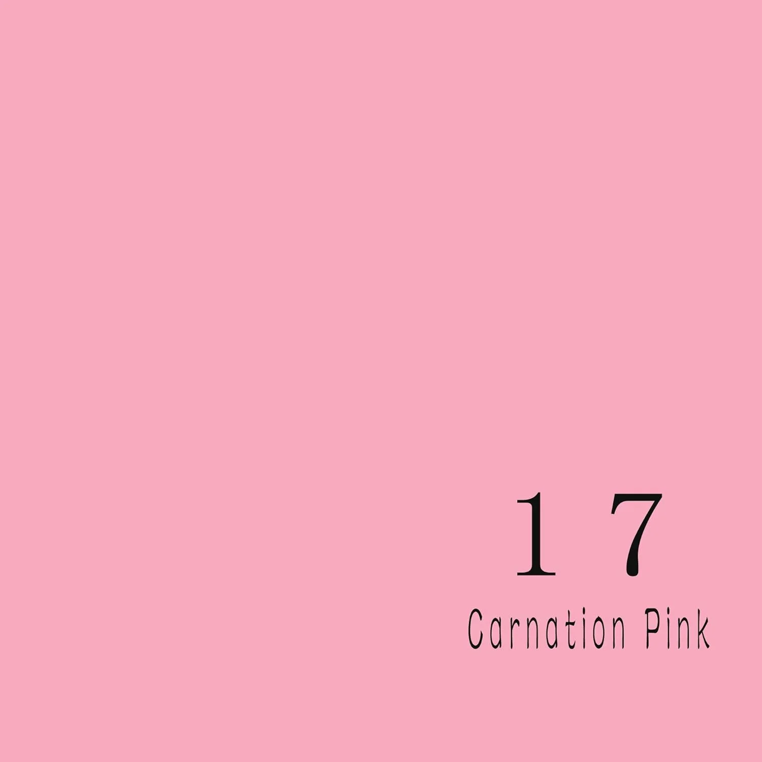 رول کاغذ پس زمینه عکاسی بدون درز، پس زمینه کاغذ صورتی برای عکاسی، فیلمبرداری و استریم (107 اینچ در 36 فوت صورتی میخک) رول کاغذ پس زمینه عکاسی بدون درز، پس زمینه کاغذ صورتی برای عکاسی، فیلمبرداری و استریم (107 اینچ در 36 فوت صورتی میخک)