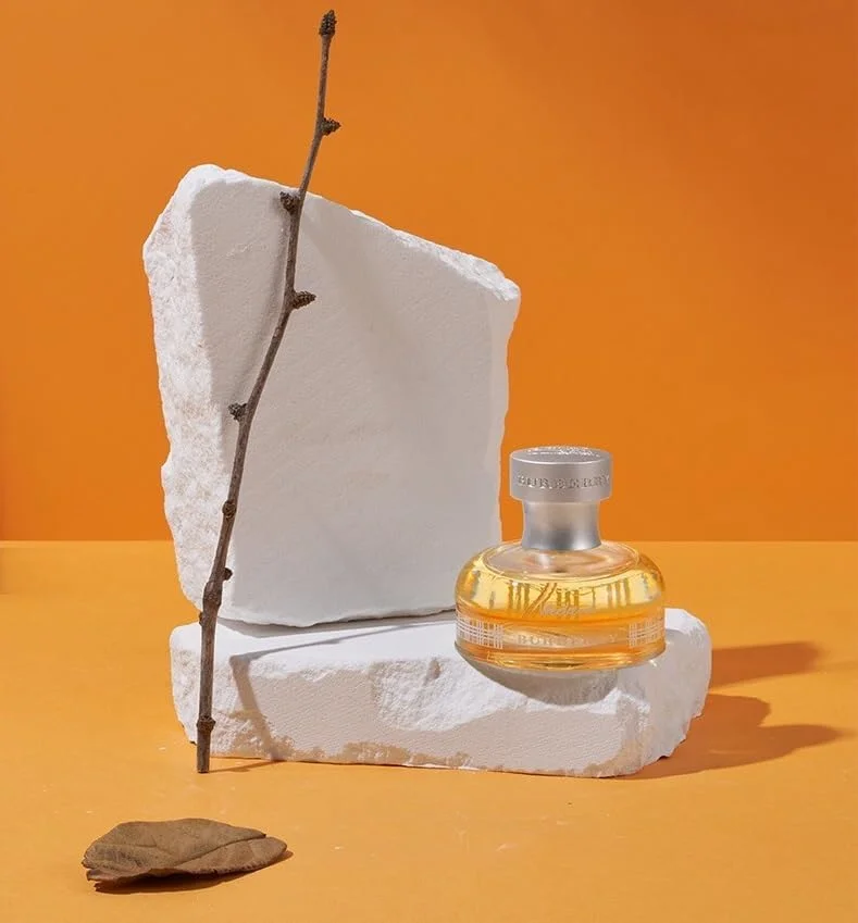 4 عدد پس زمینه عکاسی محصول با طراحی اورجینال، لوازم تزئینی گچی نامنظم آروماتراپی برای عکاسی از غذا، جواهرات، لوازم آرایشی و میکاپ 4 عدد پس زمینه عکاسی محصول با طراحی اورجینال، لوازم تزئینی گچی نامنظم آروماتراپی برای عکاسی از غذا، جواهرات، لوازم آرایشی و میکاپ