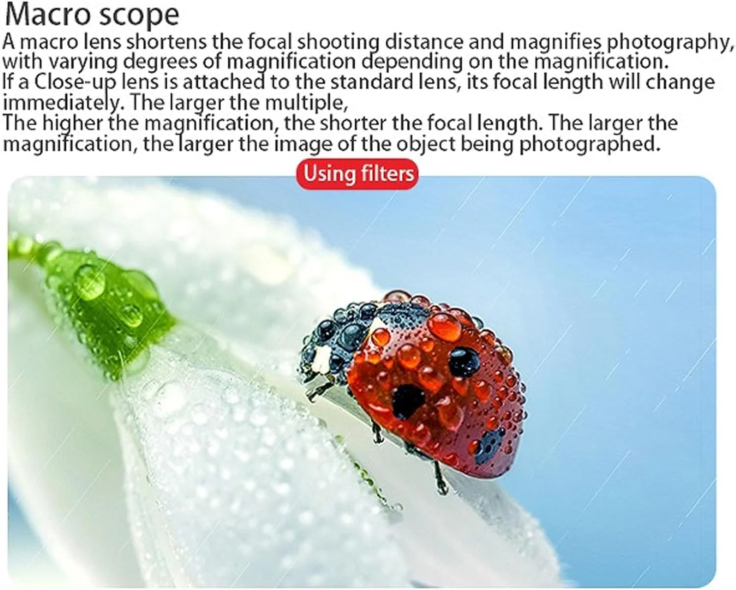 لنز ماکرو اکسترنال برای Osmo Pocket 3، لنز ماکرو با پوشش HD با بزرگنمایی 10X، لنز ماکرو فوق العاده نازک لنز ماکرو اکسترنال برای Osmo Pocket 3، لنز ماکرو با پوشش HD با بزرگنمایی 10X، لنز ماکرو فوق العاده نازک