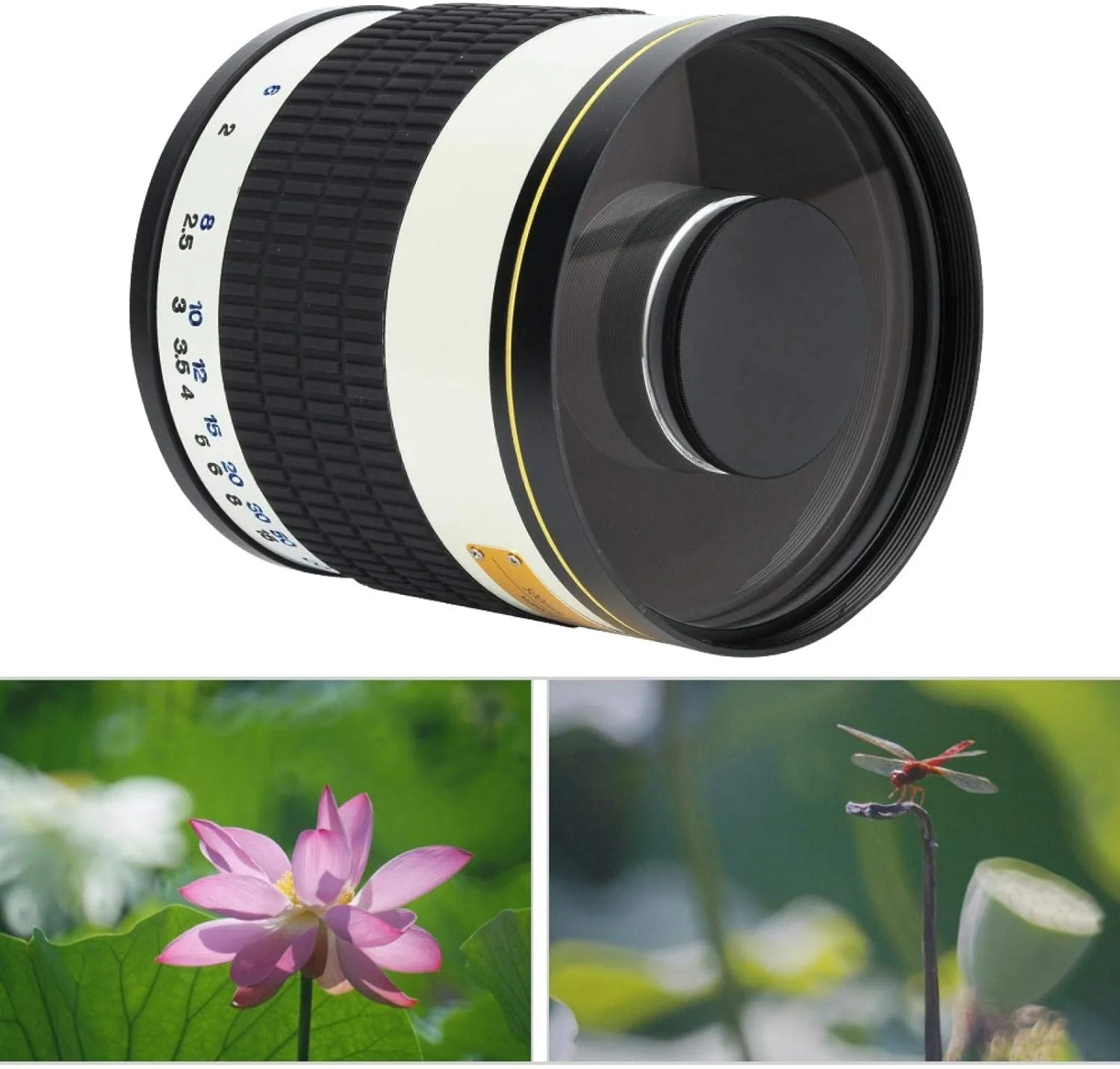 لنز تله فوتو آینه ای، لنز 500 میلی متری تله فوتو با پوشش چند لایه F/6.3 برای دوربین های بدون آینه (سفید، با T2 M4/3 برای الیمپوس پاناسونیک، مشکی) لنز تله فوتو آینه ای، لنز 500 میلی متری تله فوتو با پوشش چند لایه F/6.3 برای دوربین های بدون آینه (سفید، با T2 M4/3 برای الیمپوس پاناسونیک، مشکی)